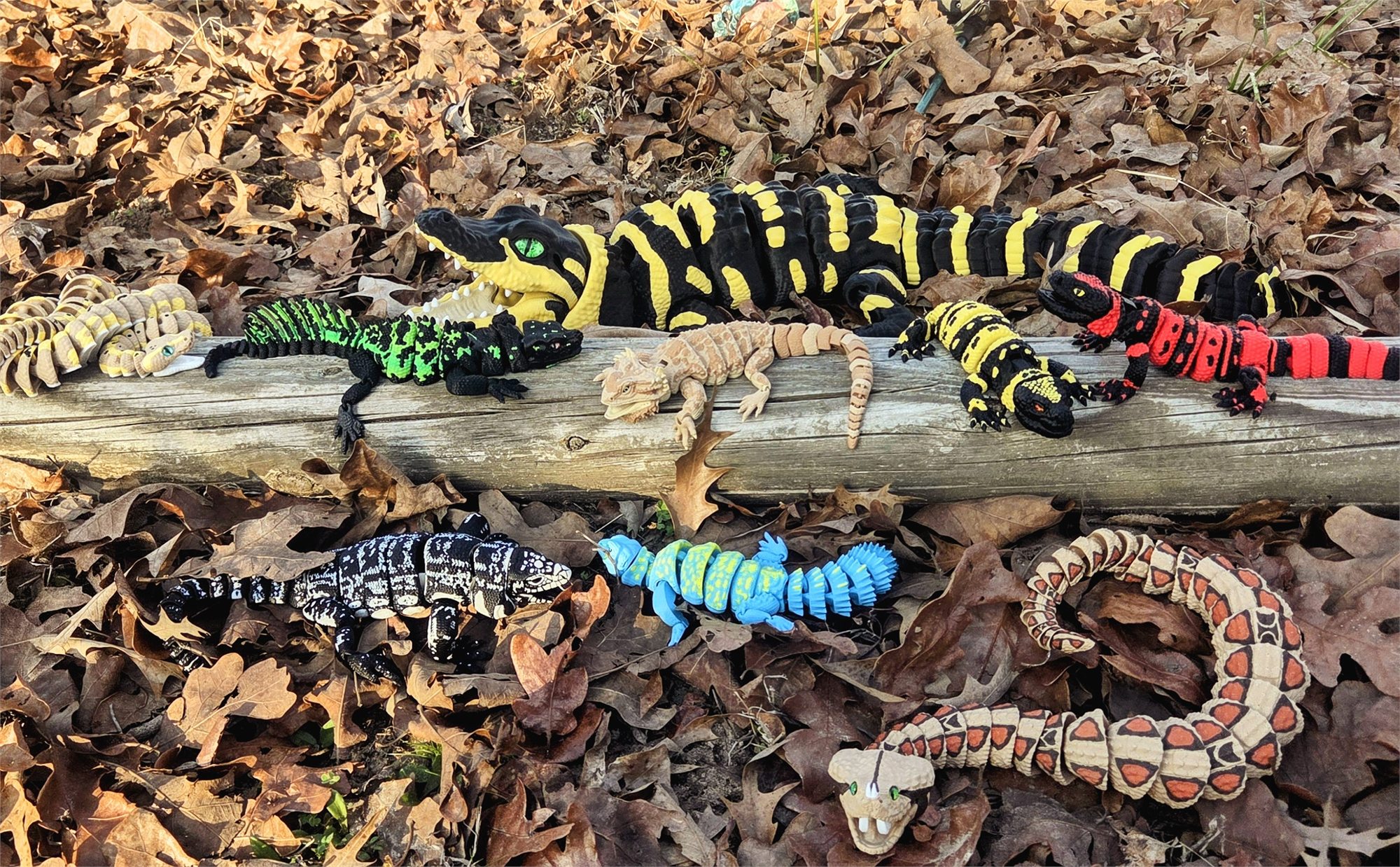 Reptiles