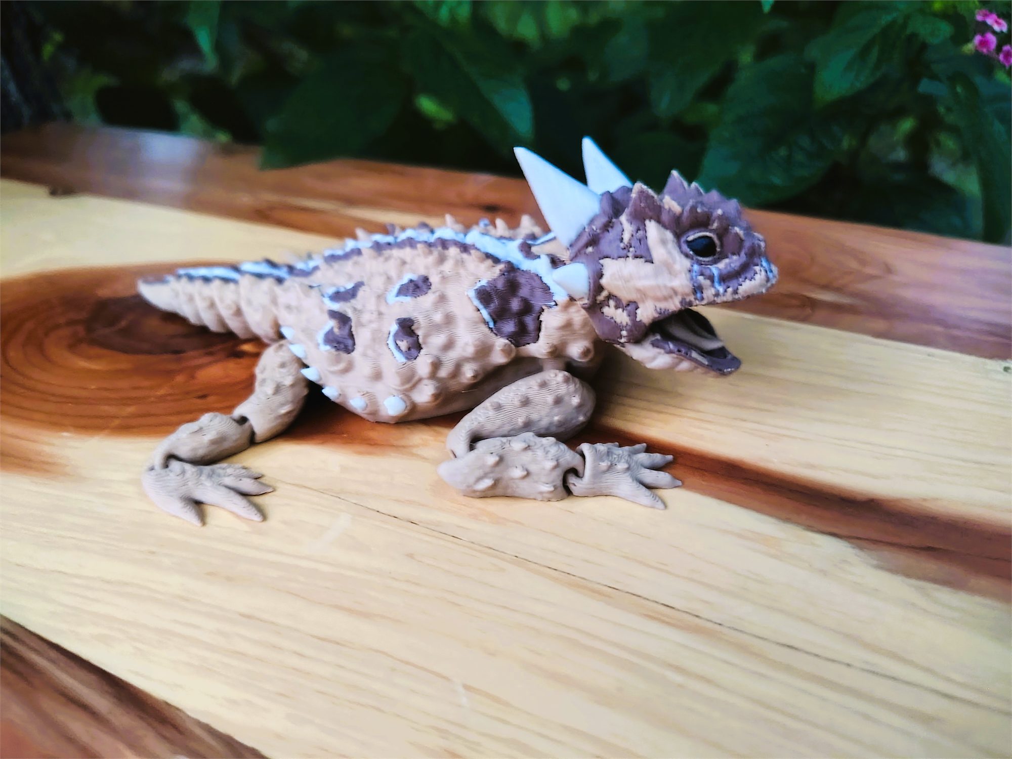 Horned Lizards