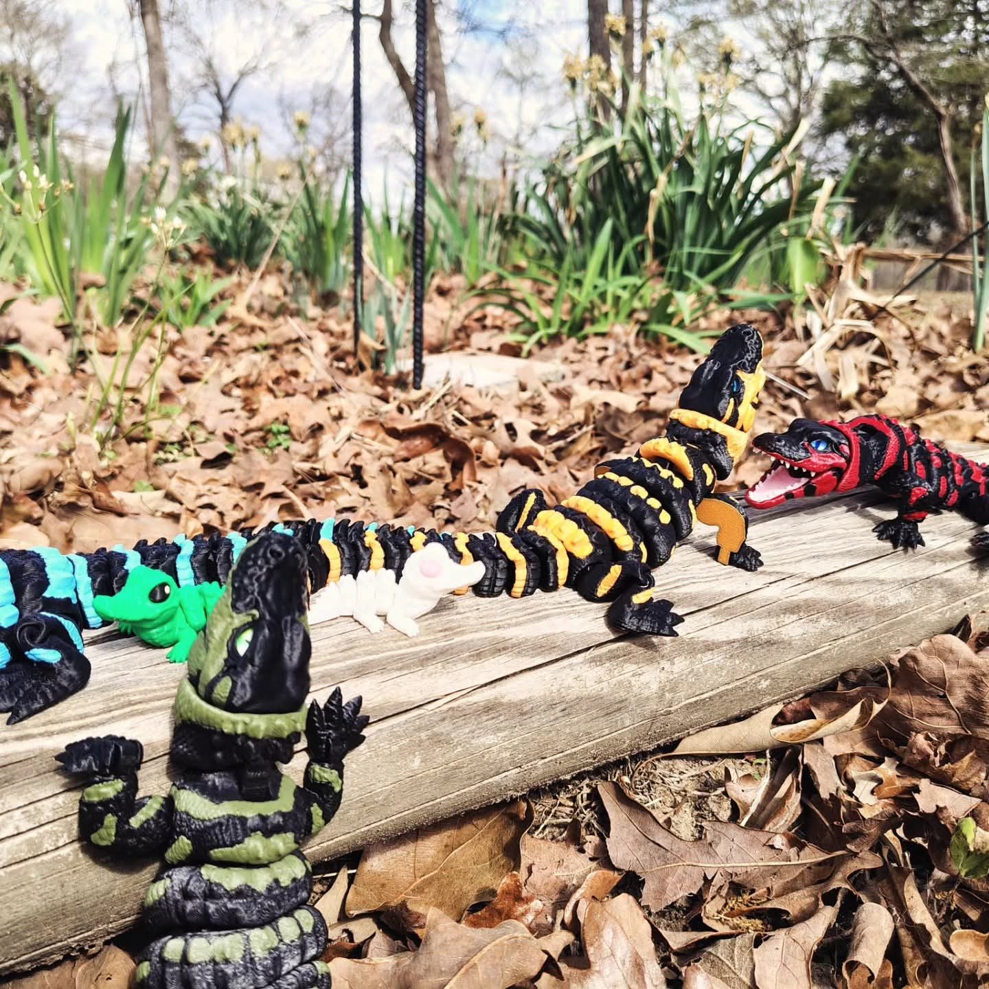 Alligators