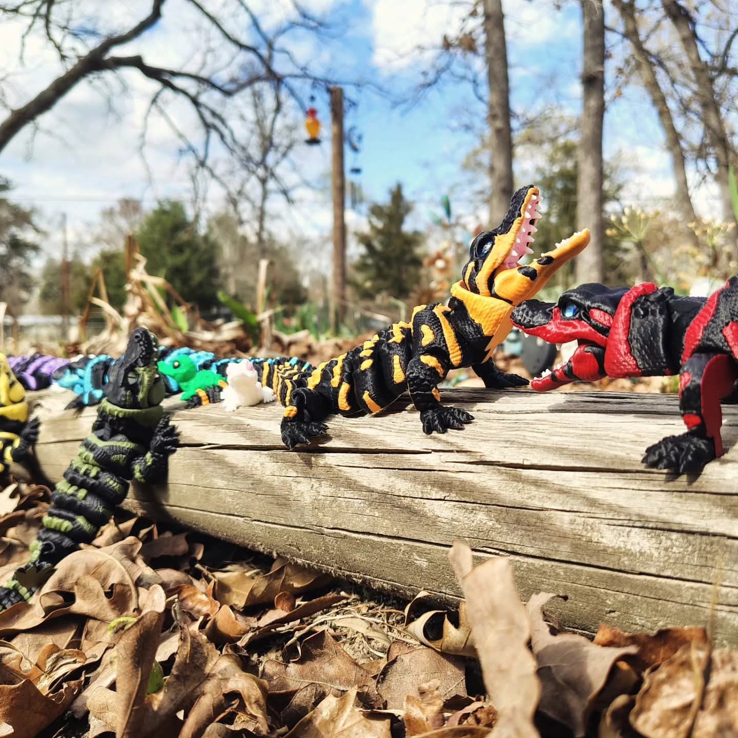 Alligators