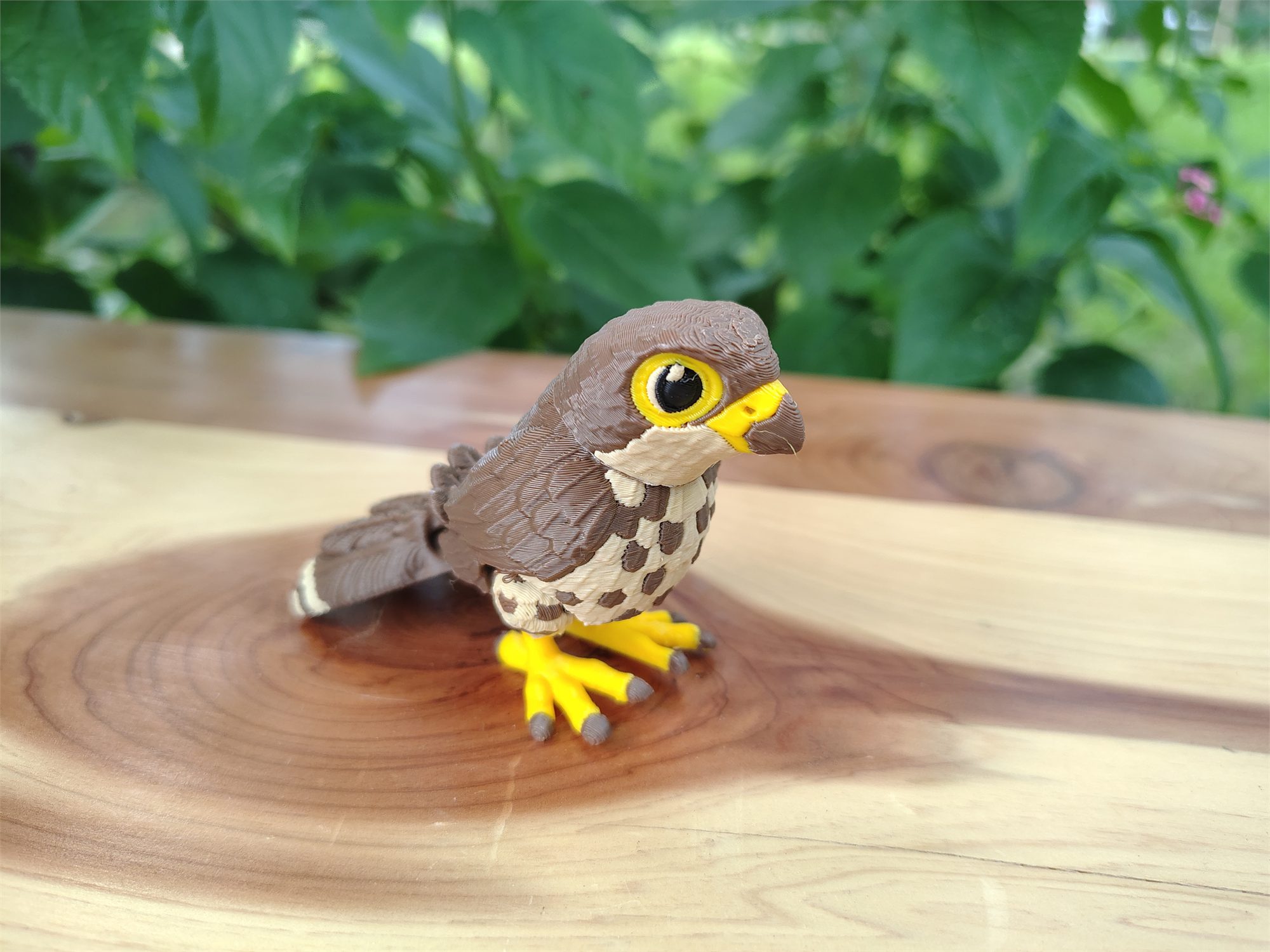 Birds