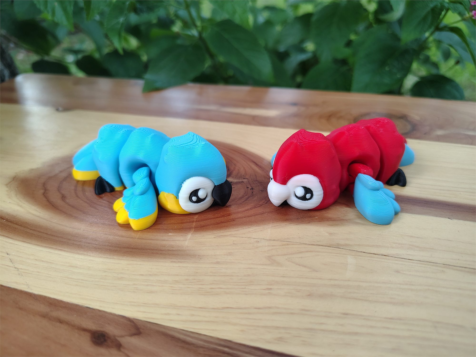 Birds