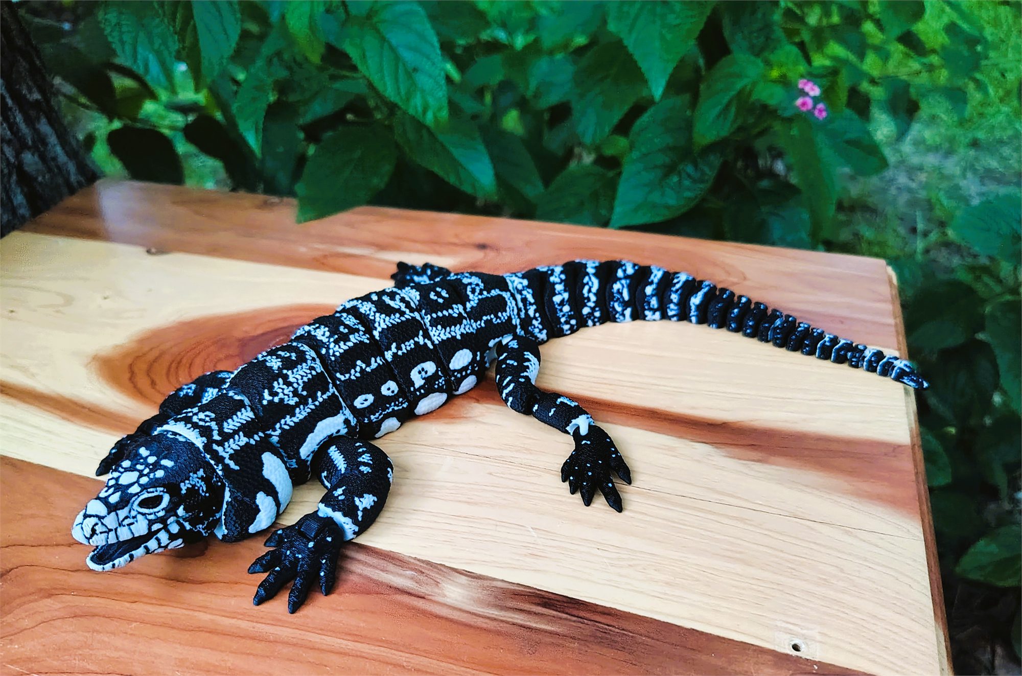 Tegu