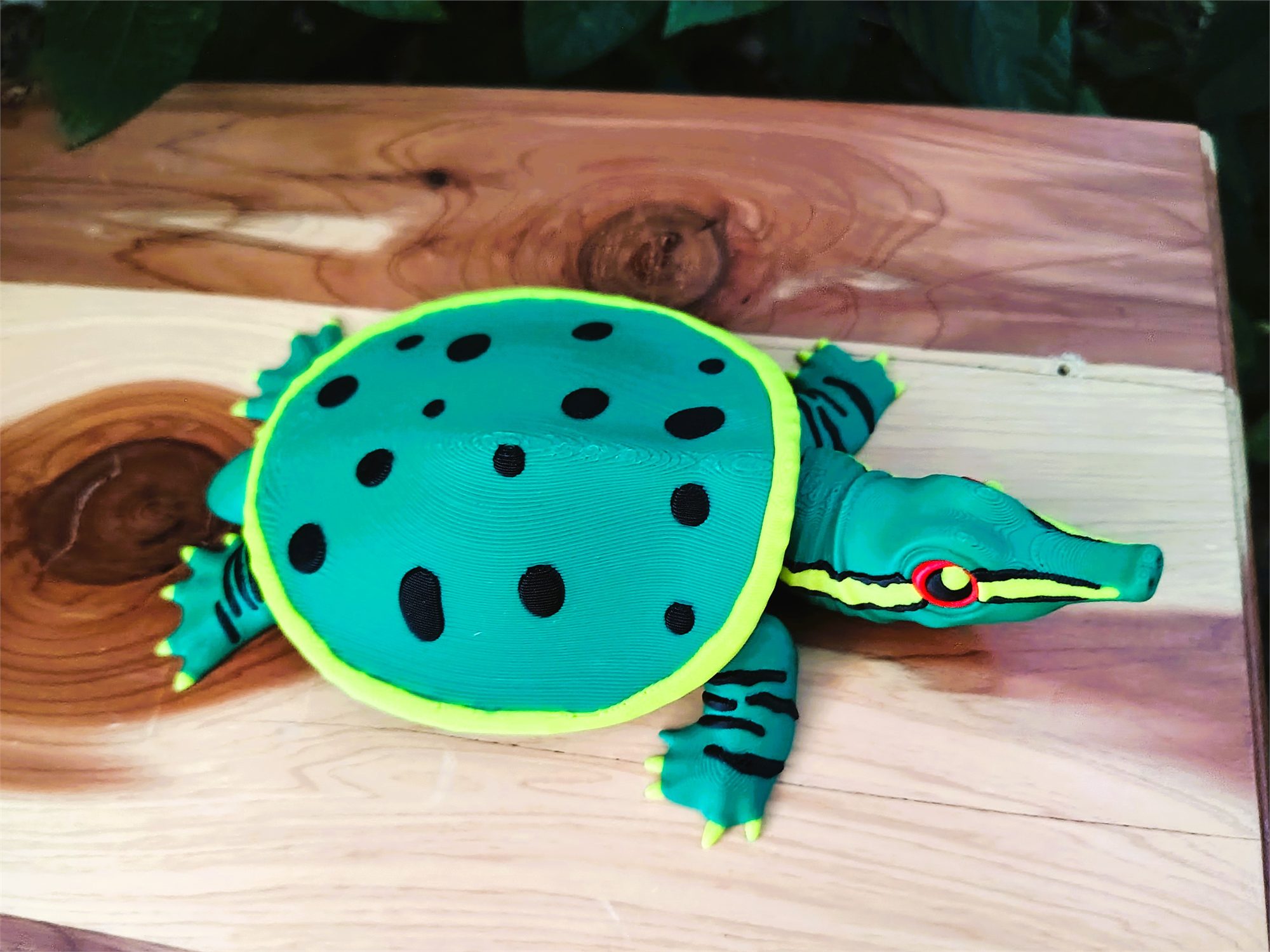 Turtles