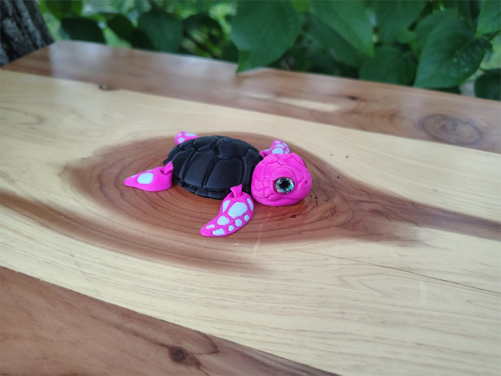 Turtles