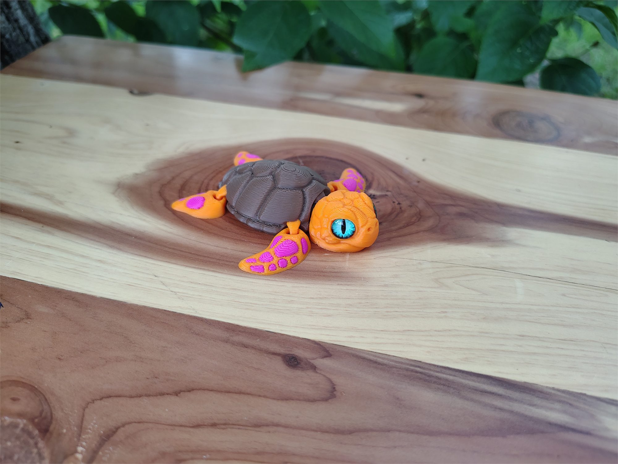 Turtles