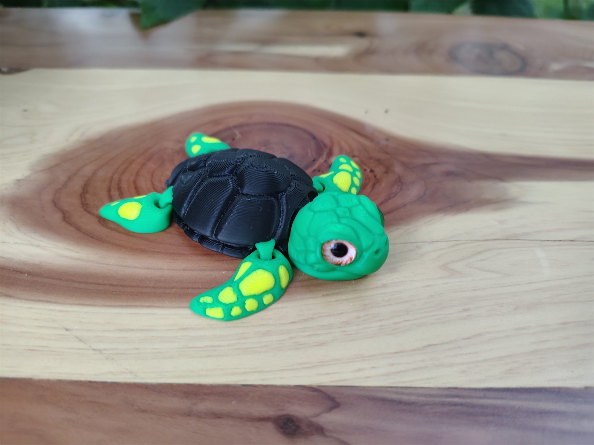 Turtles
