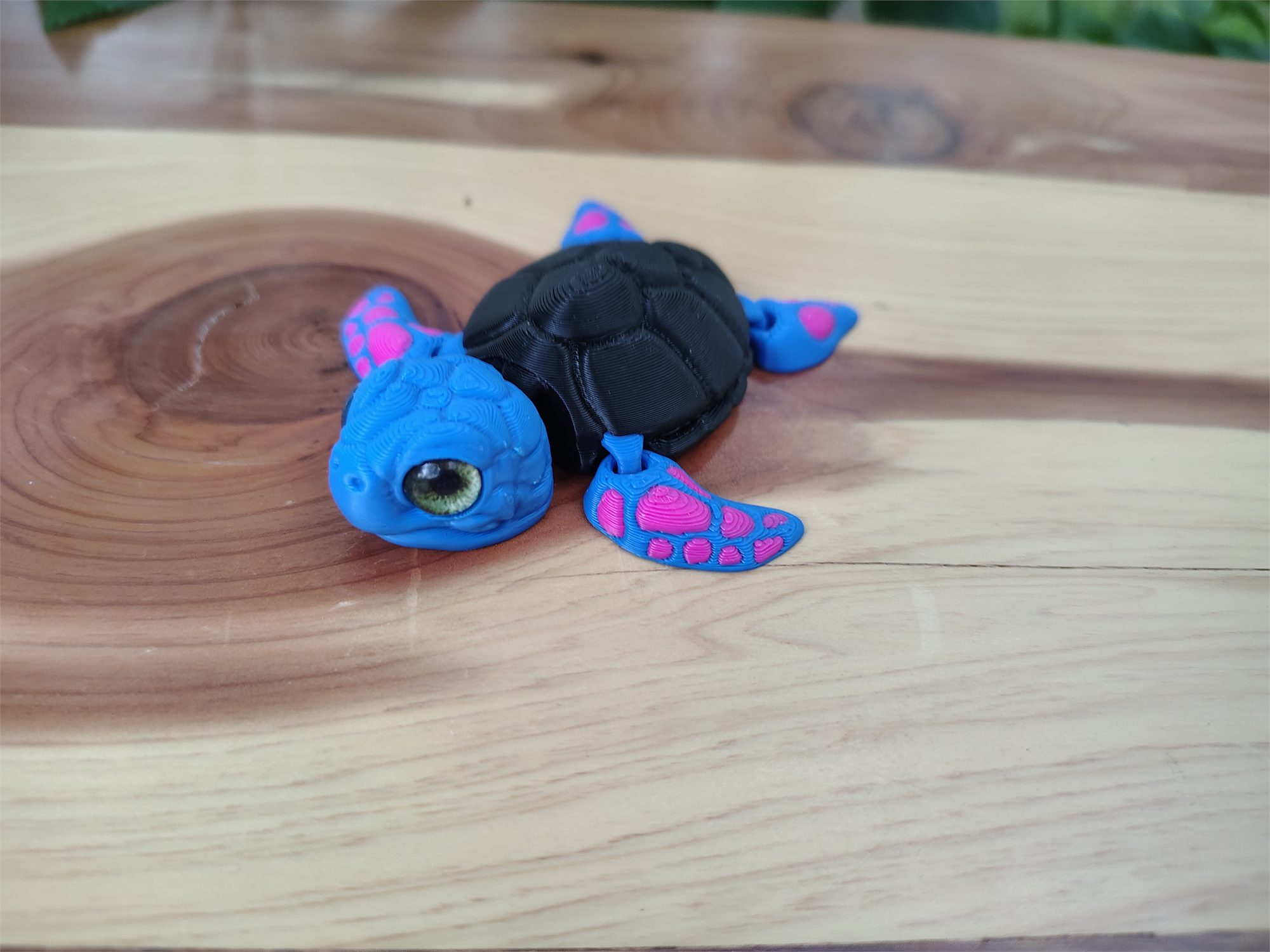 Turtles