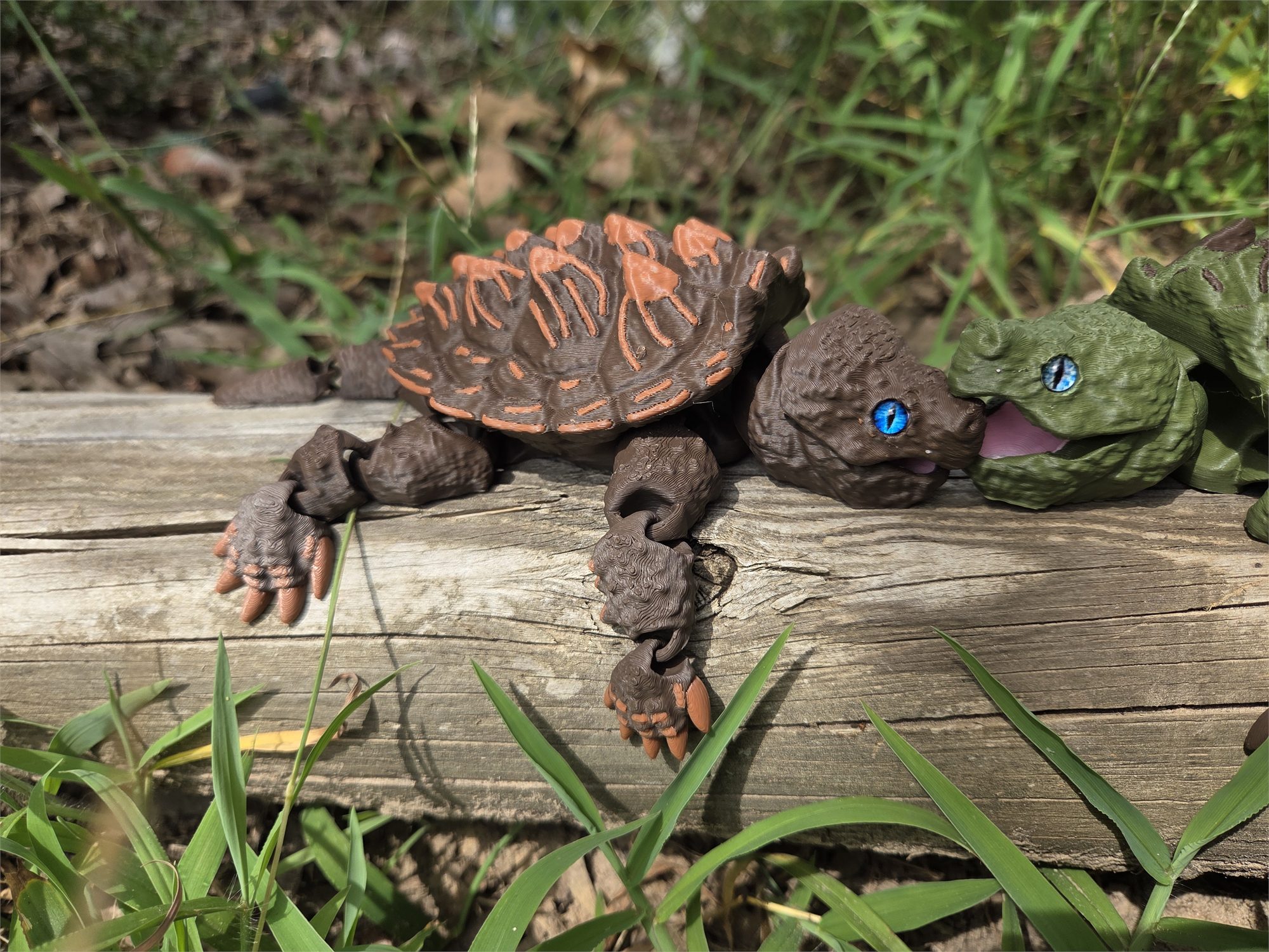 Turtles