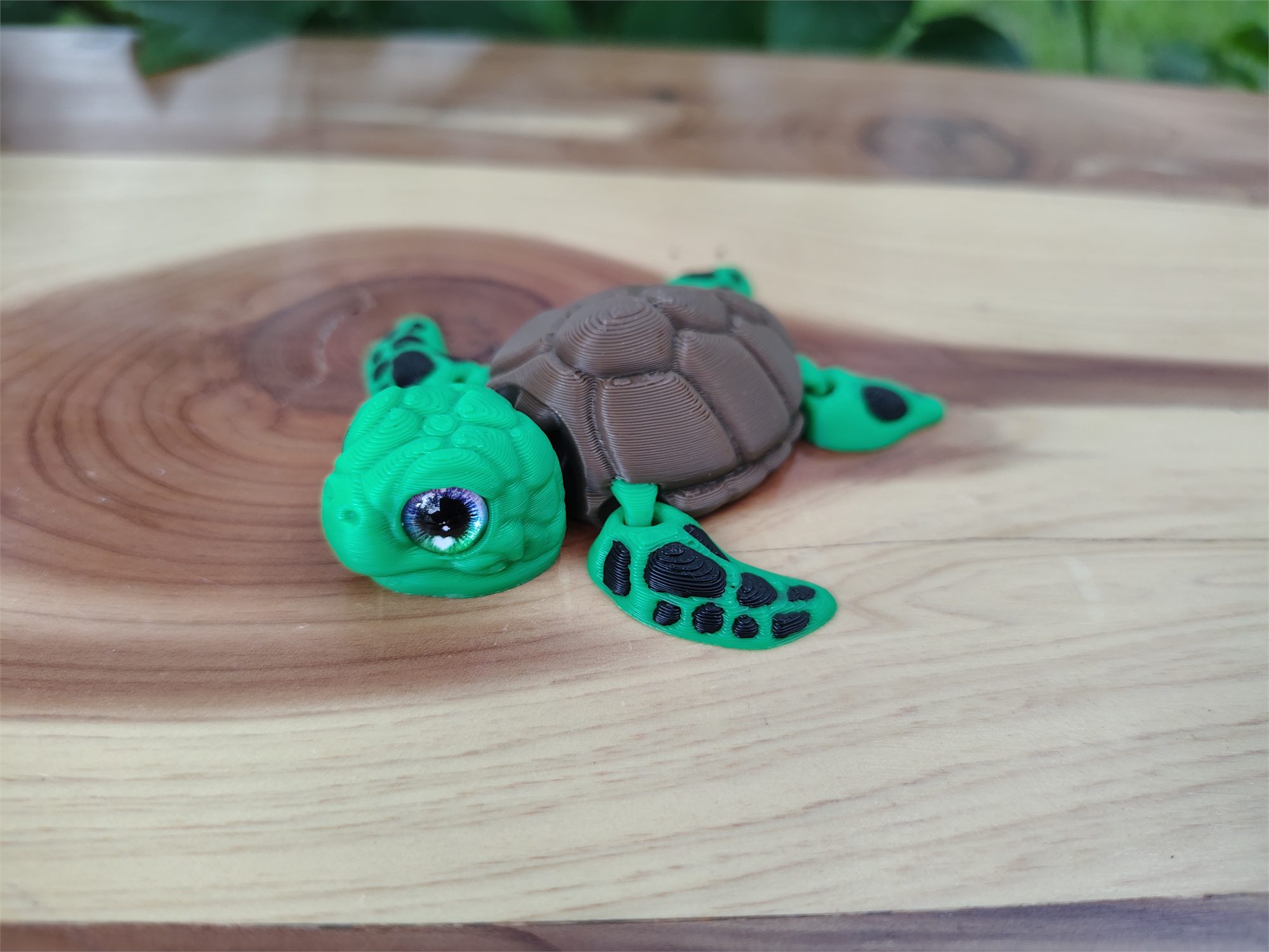 Turtles