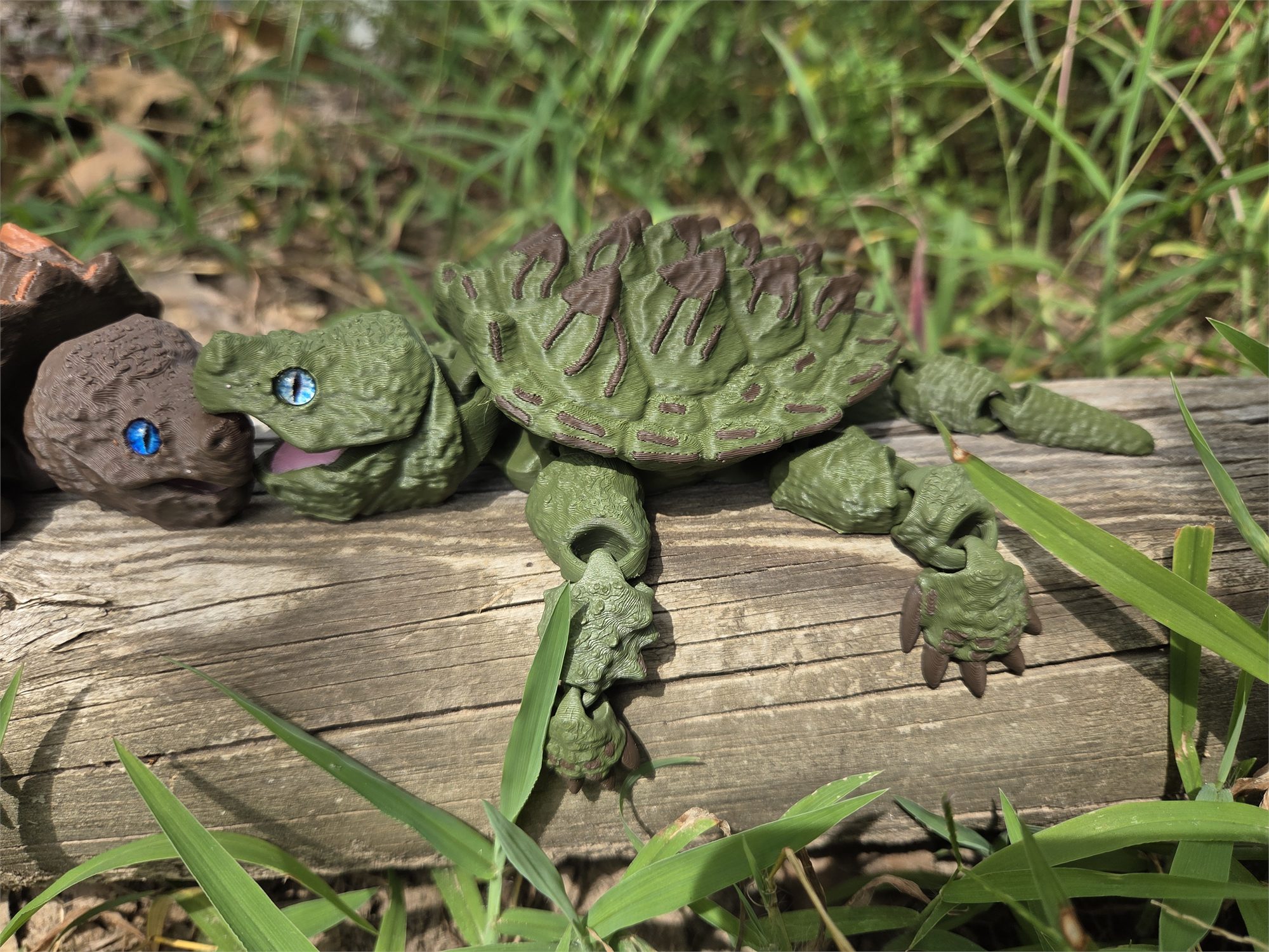 Turtles