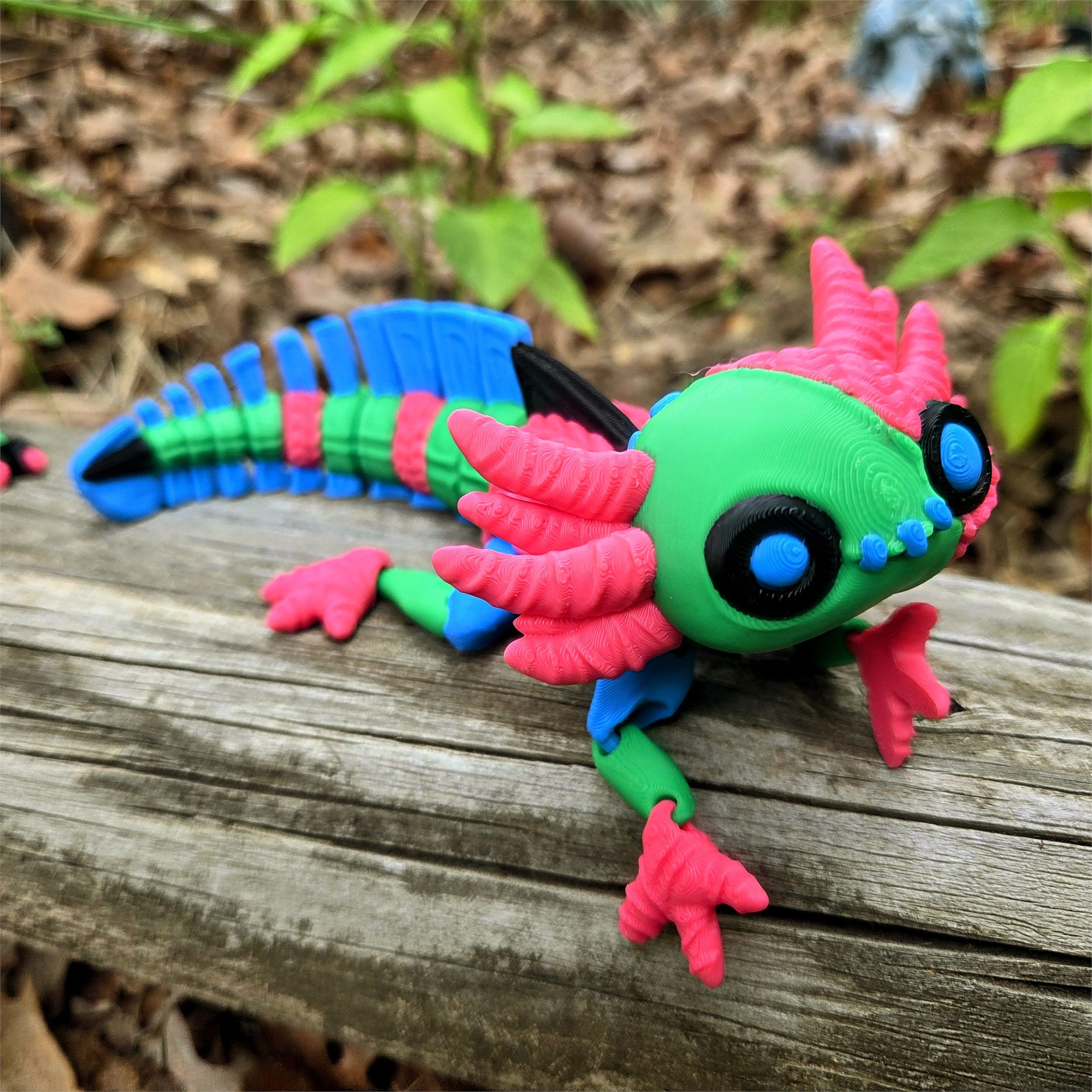 Ragdoll Axolotl