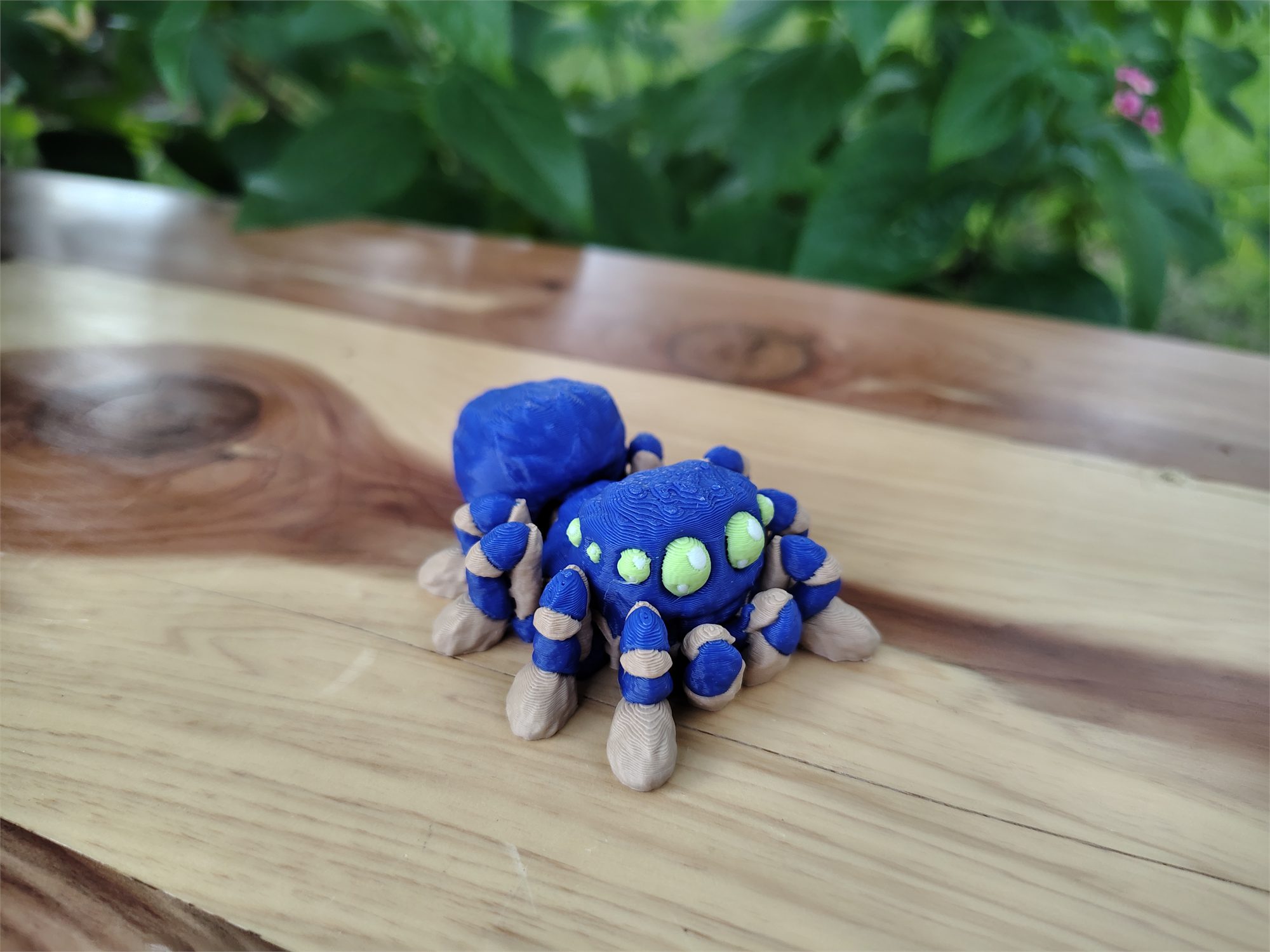 Spiders