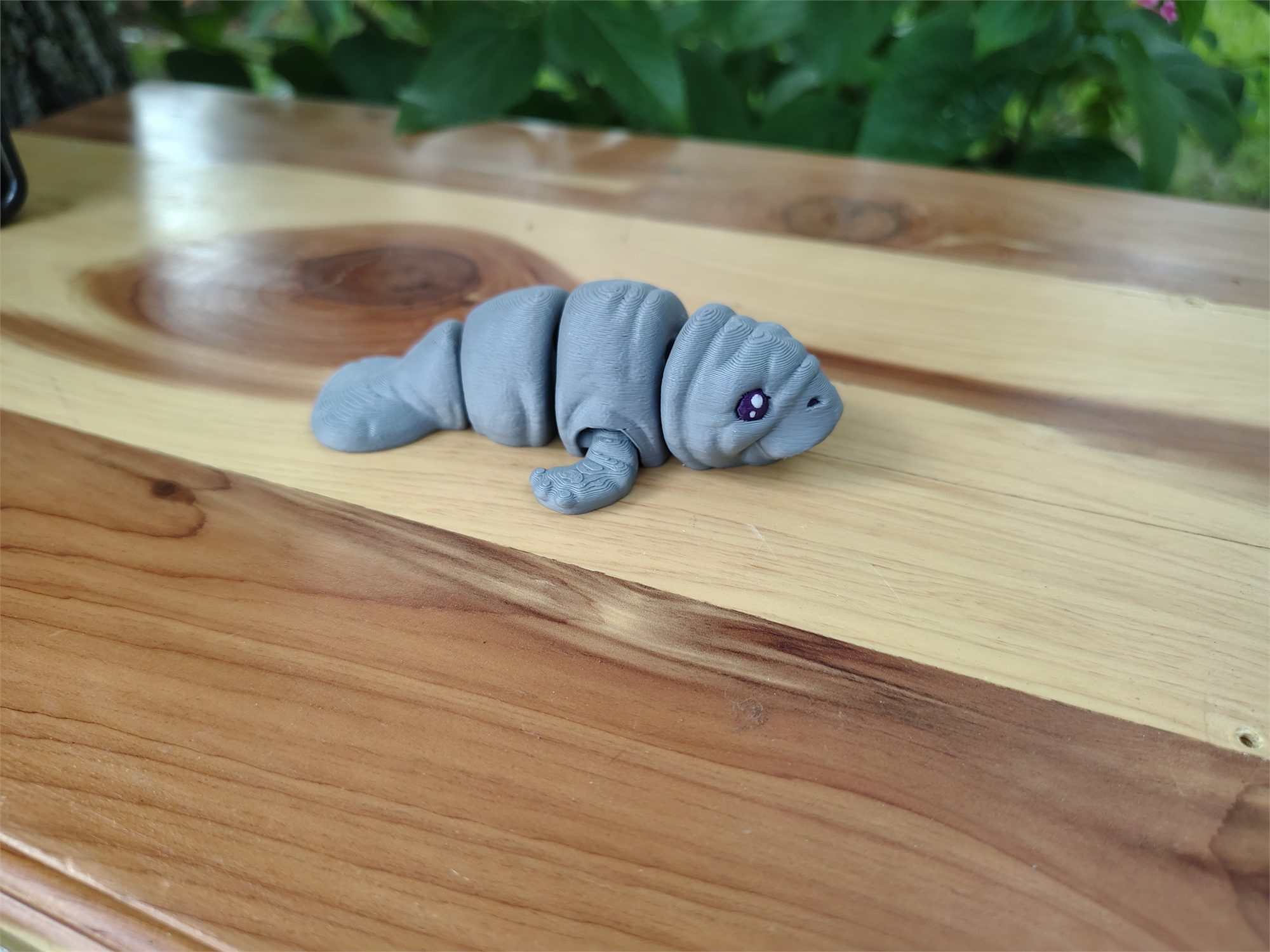 Manatee