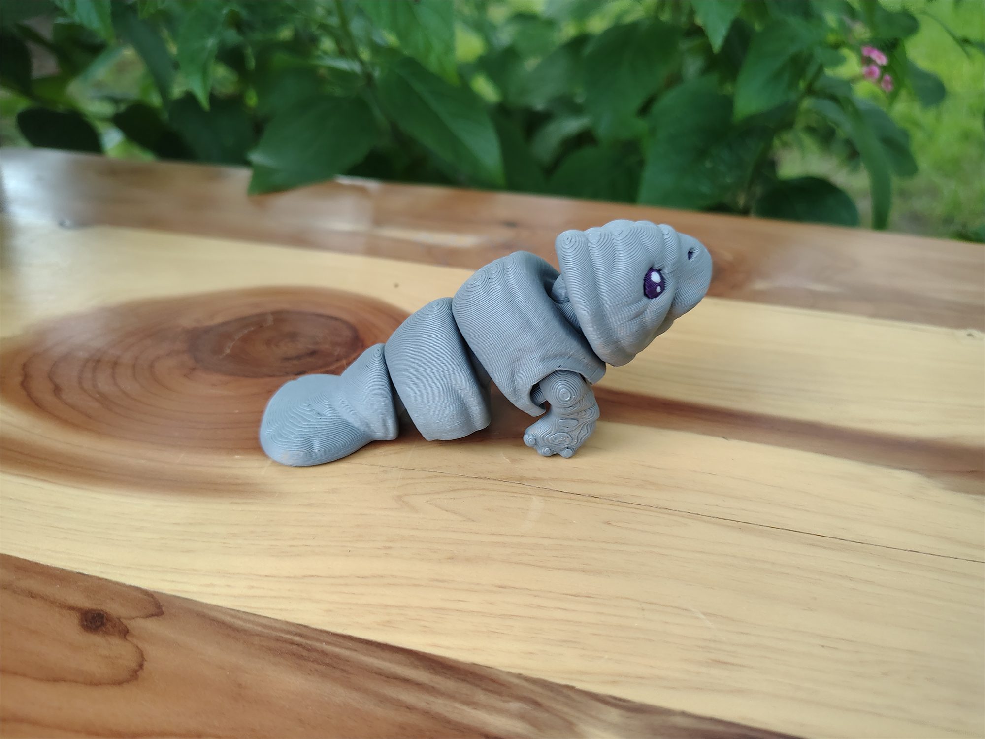 Manatee