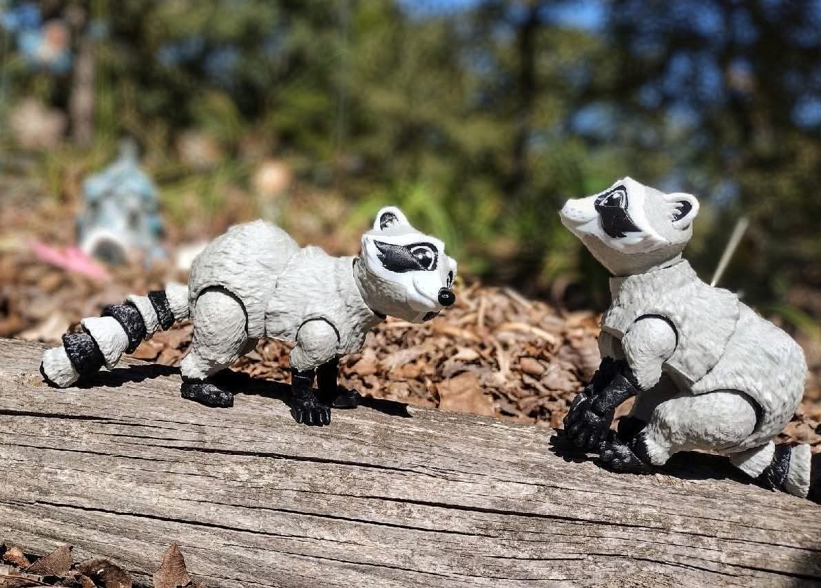 Racoons