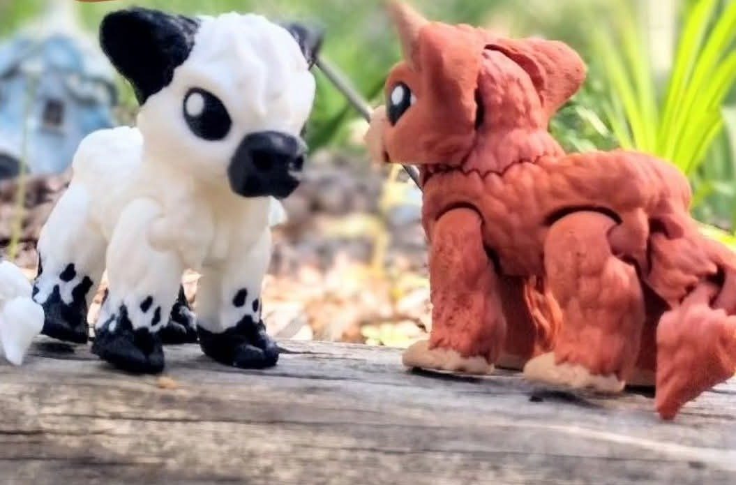 Cows