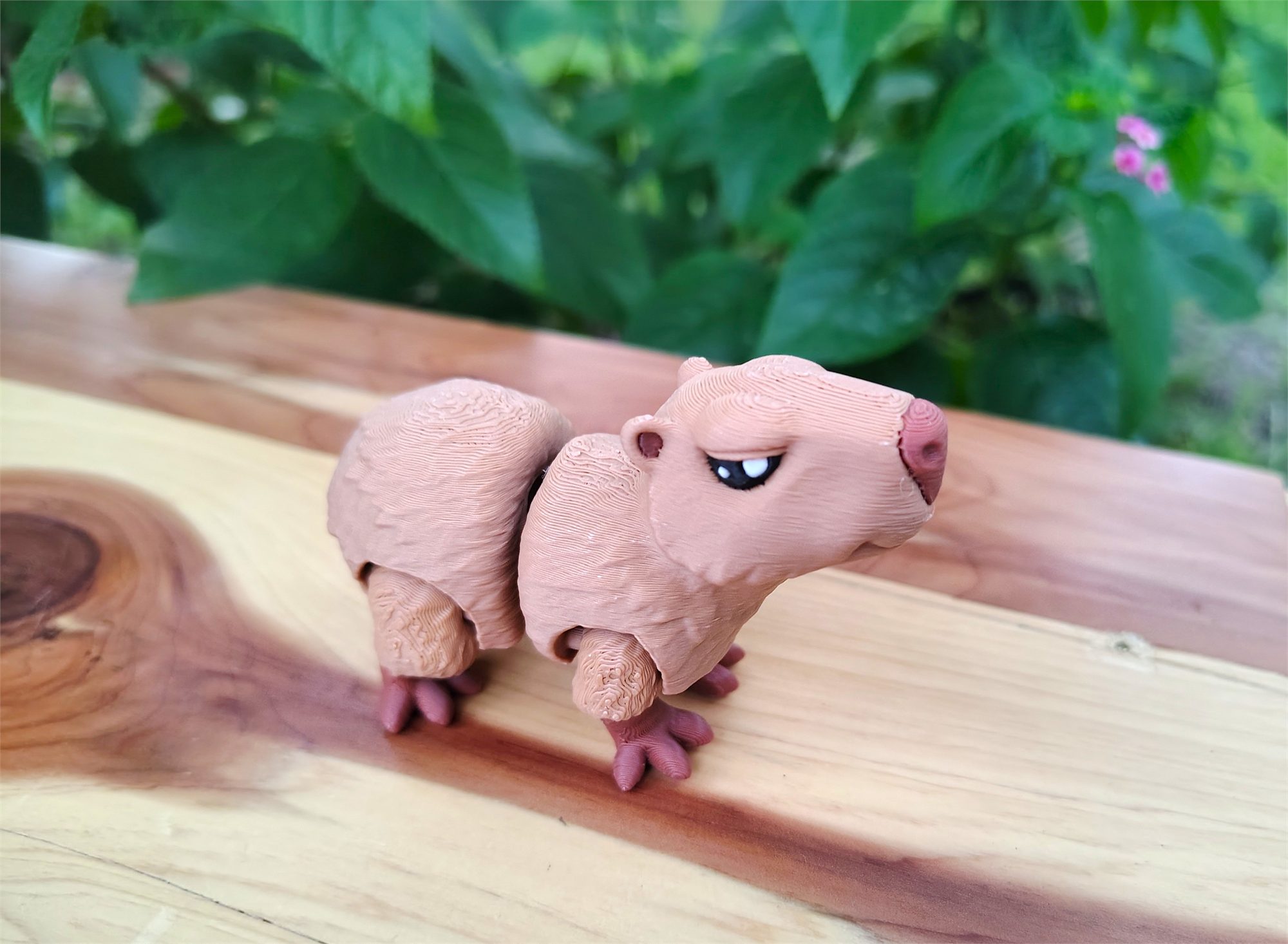 Capybaras