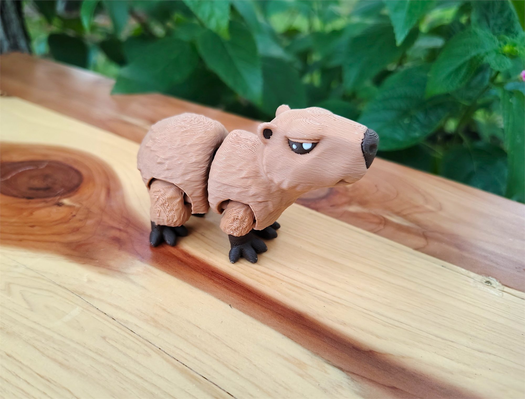 Capybaras