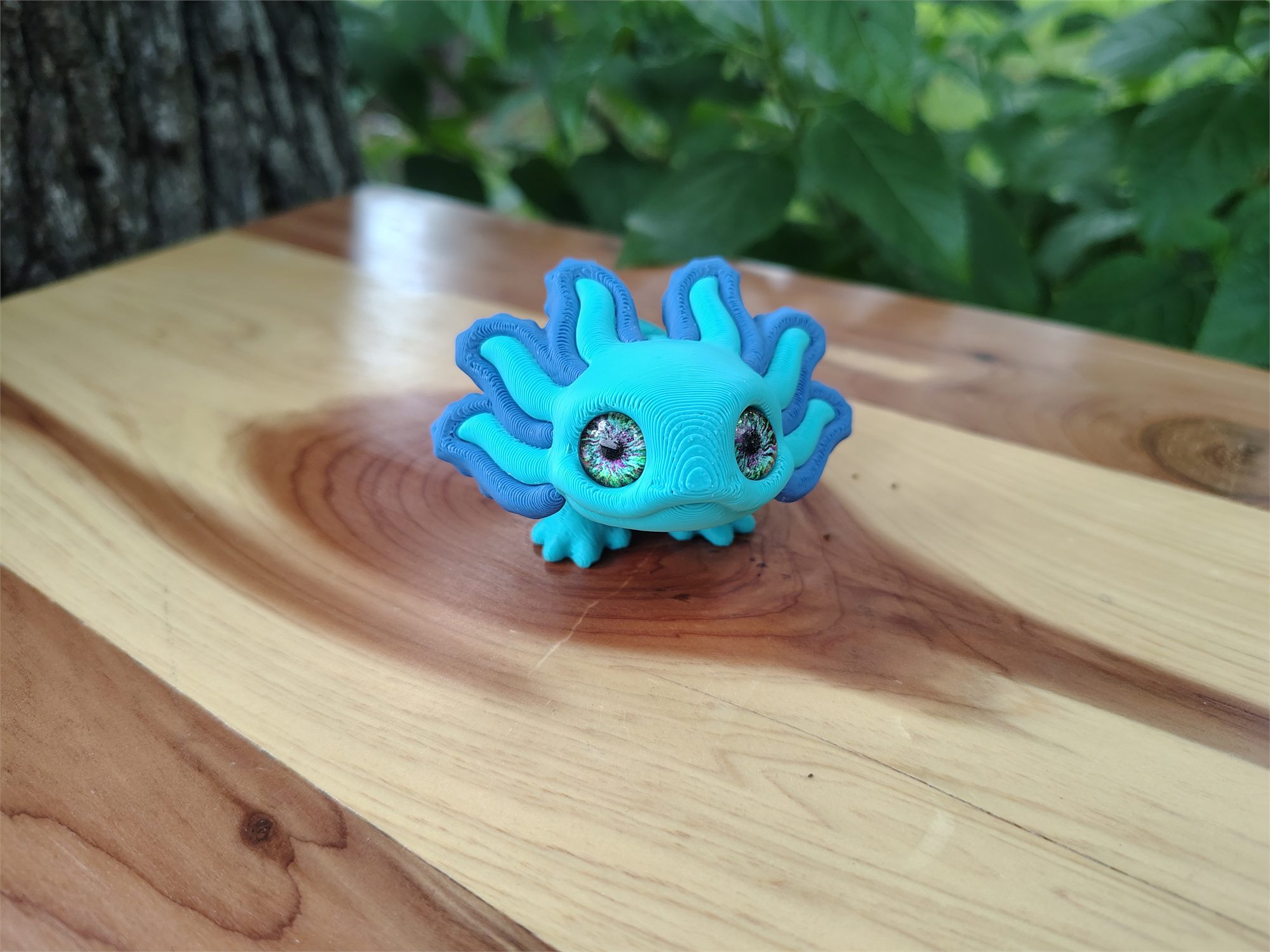 Axolotl