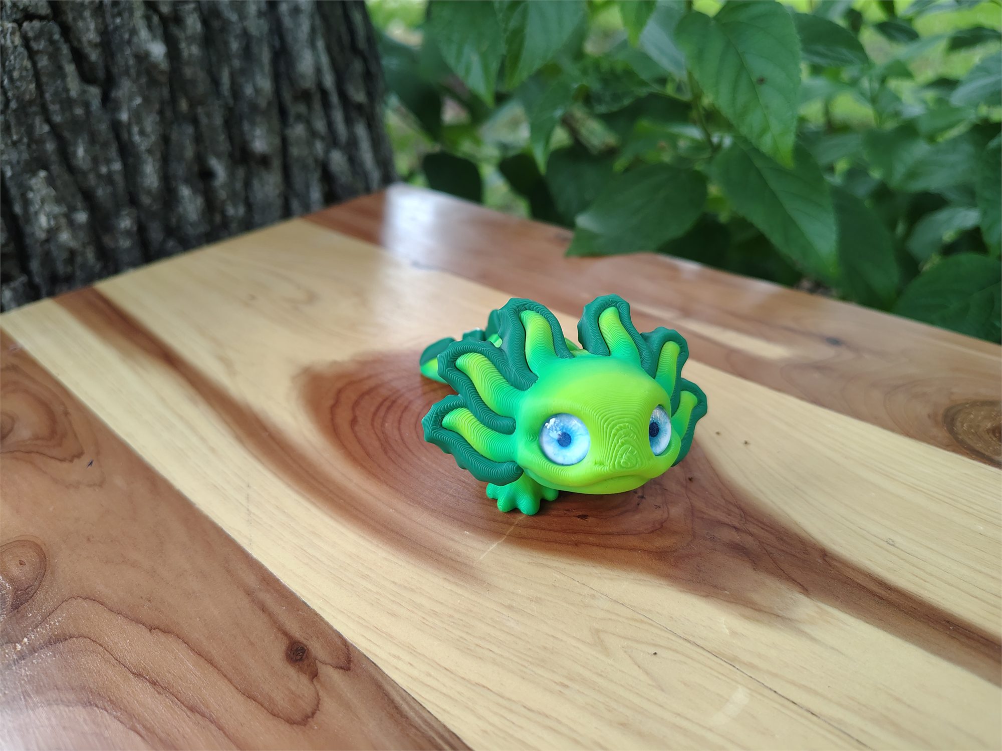 Axolotl