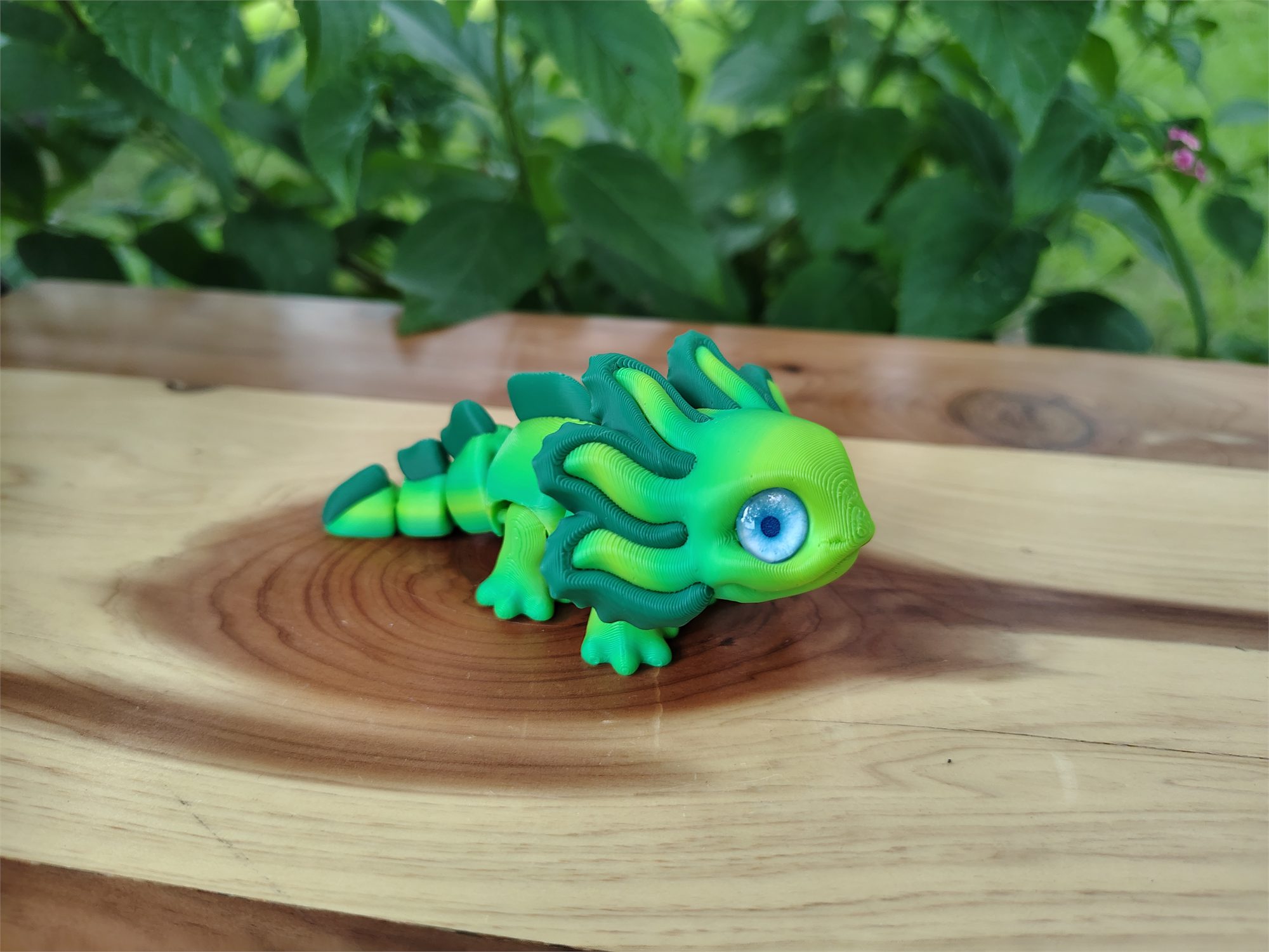 Axolotl