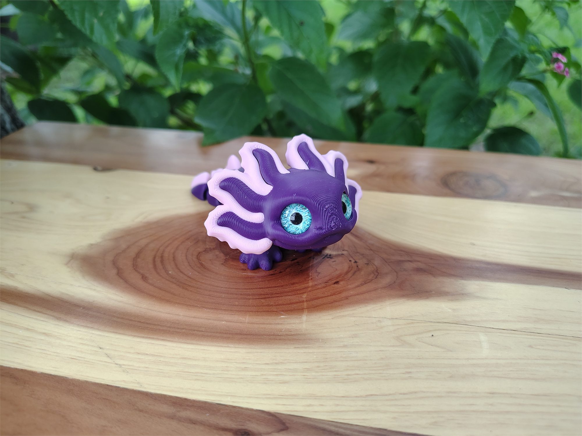 Axolotl