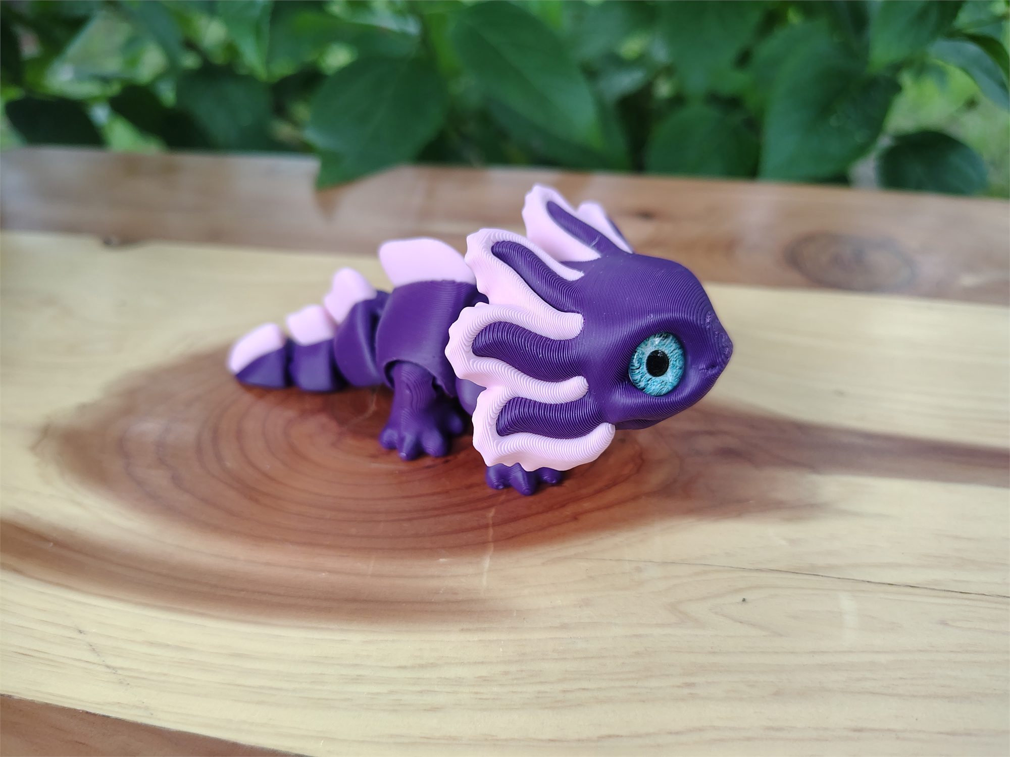 Axolotl
