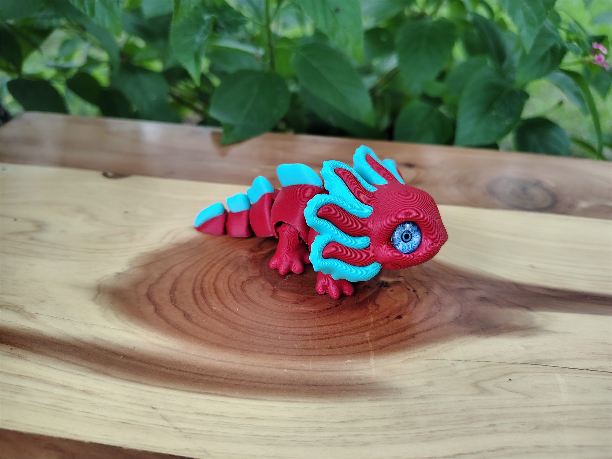 Axolotl