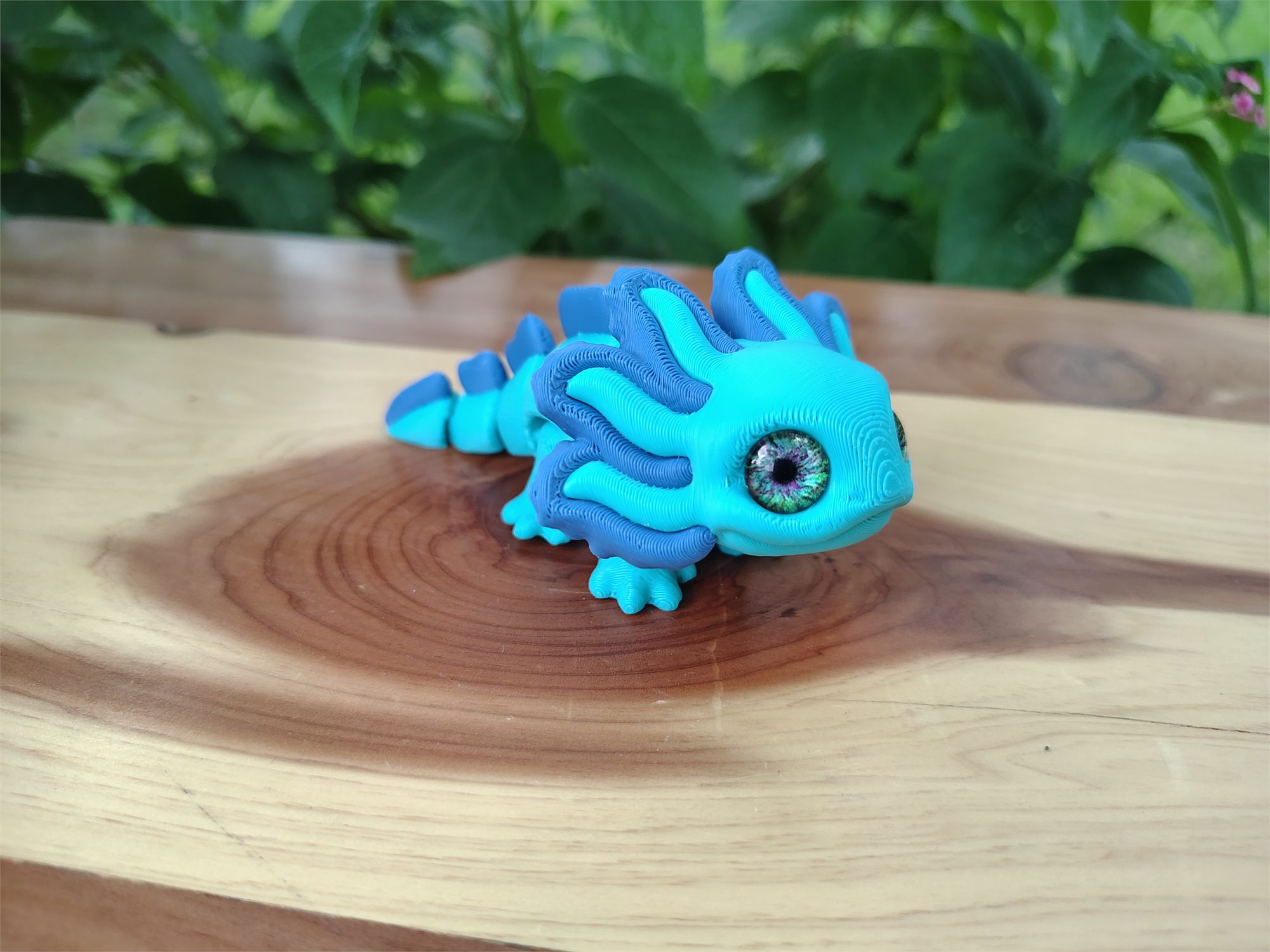 Axolotl