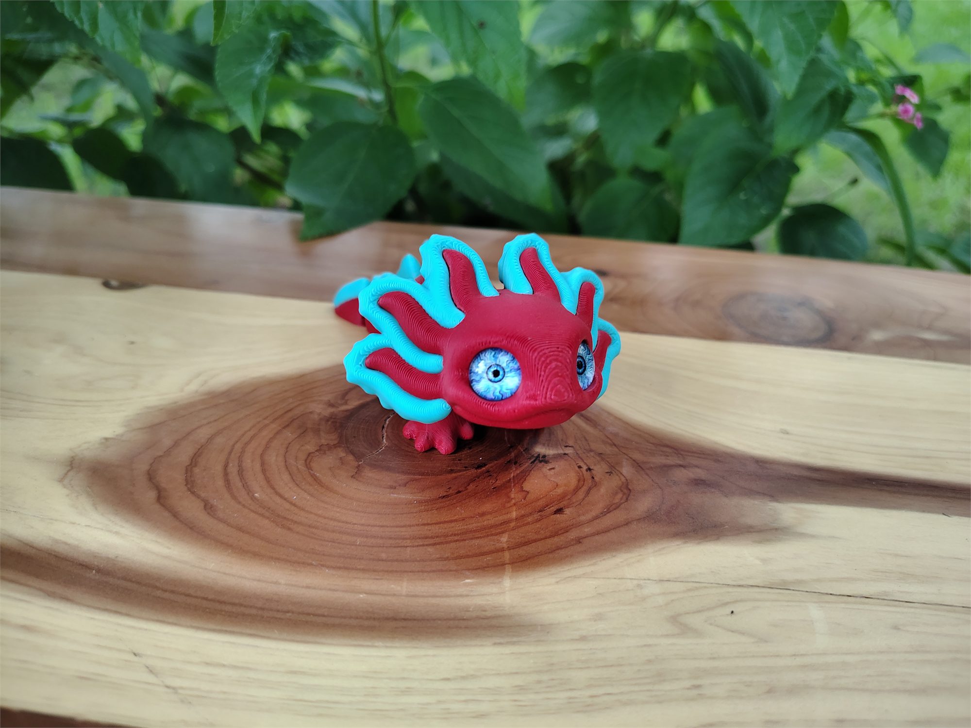Axolotl