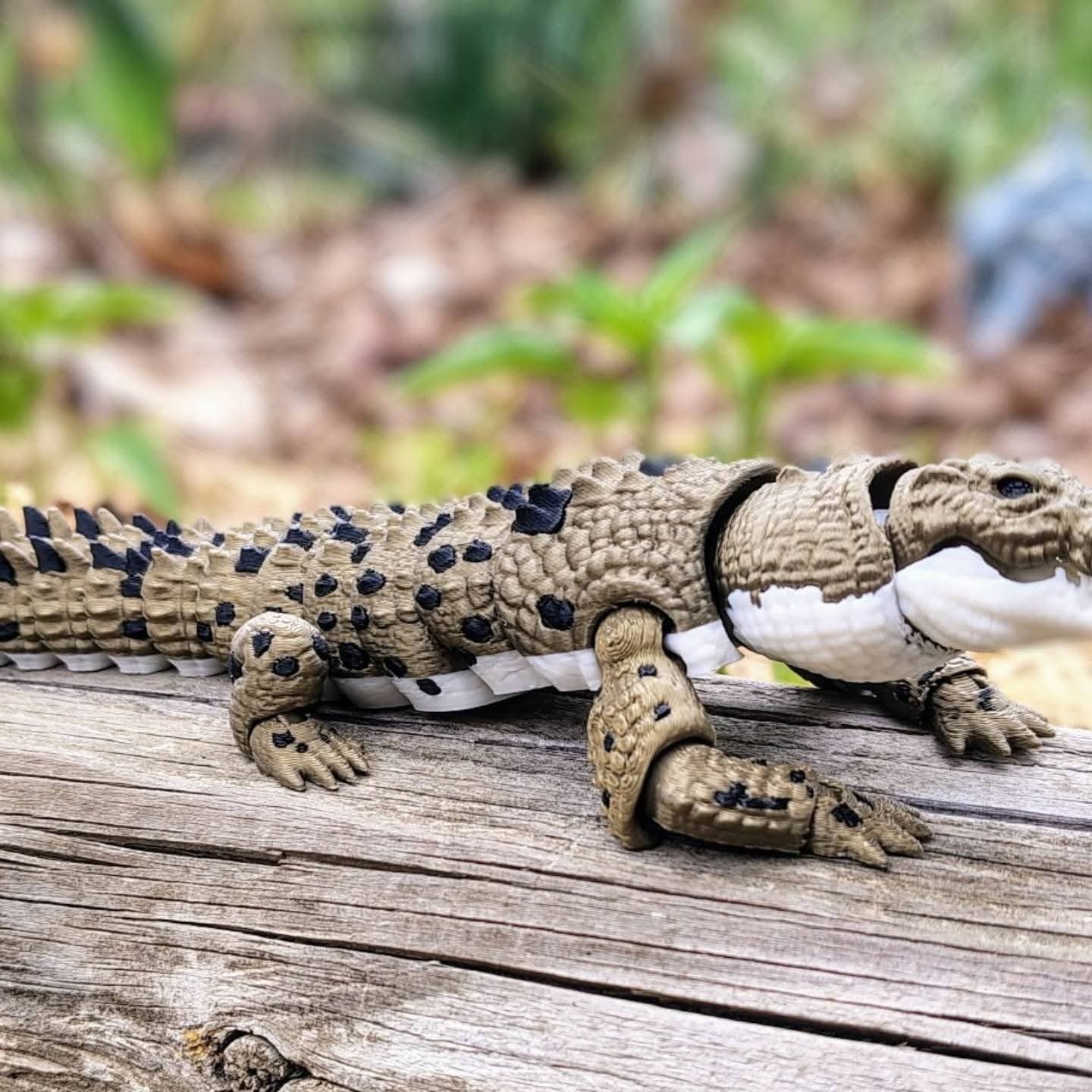 Saltwater Crocodiles