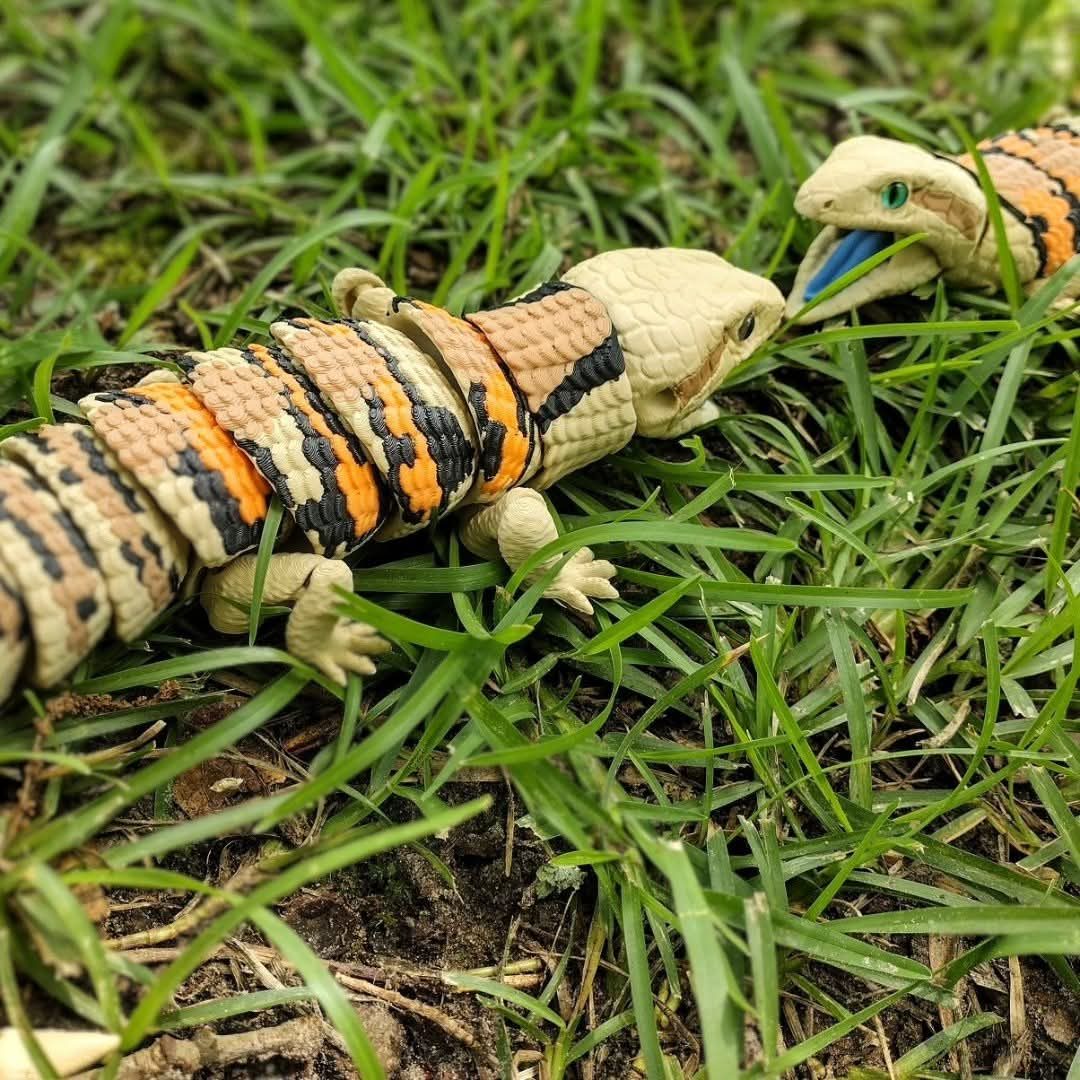 Blue Tounge Skink