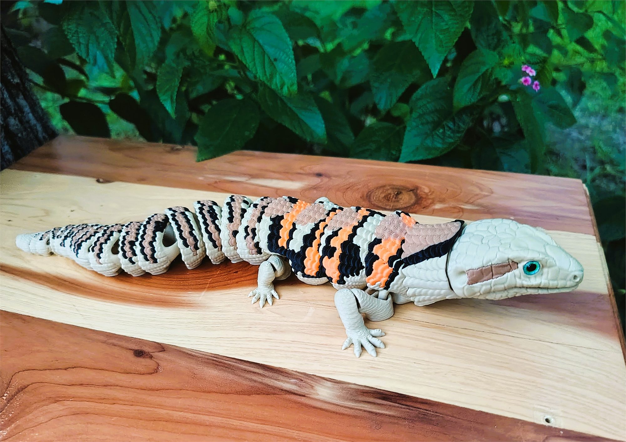 Blue Tounge Skink