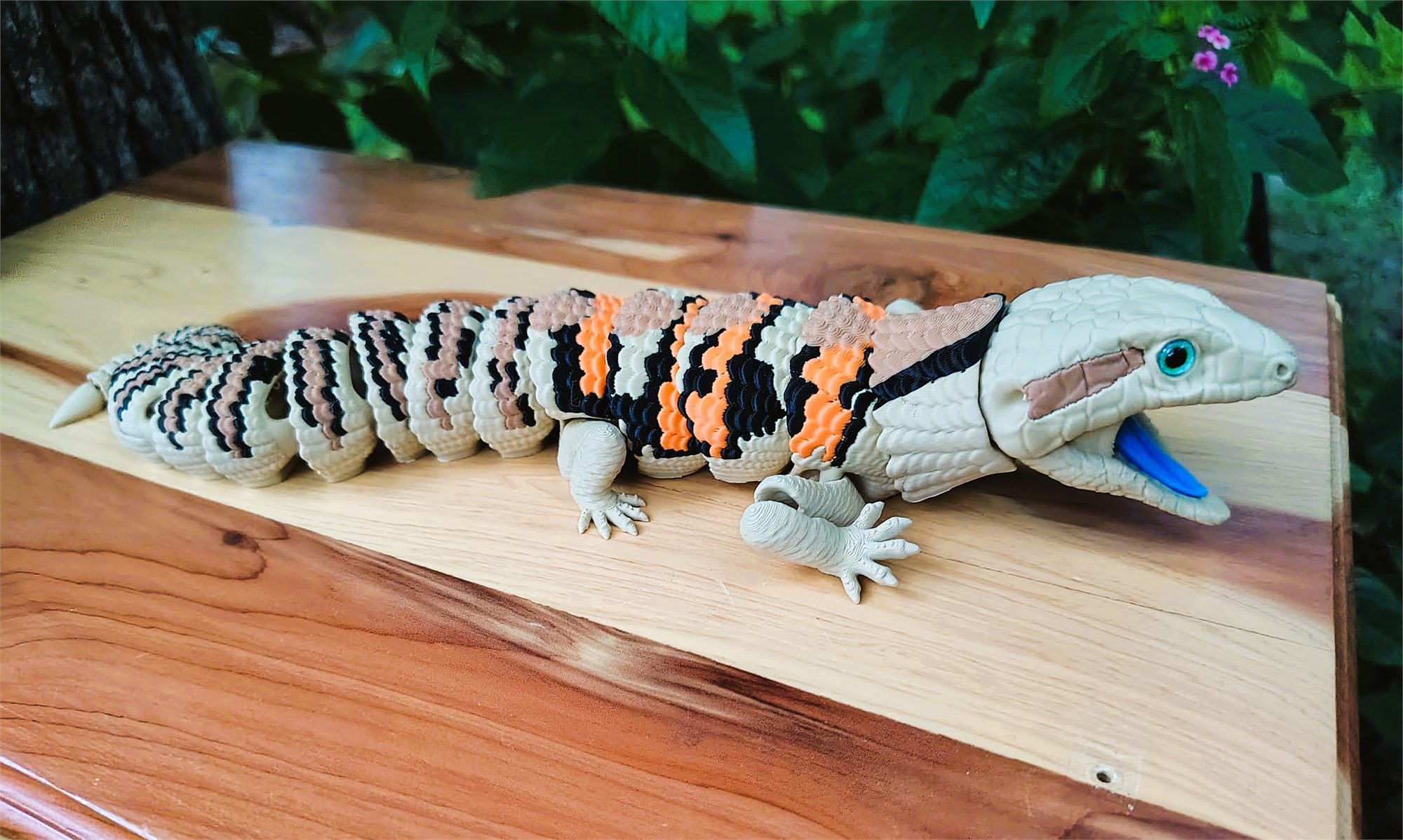Blue Tounge Skink