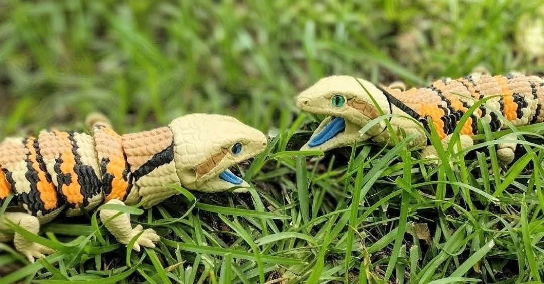 Blue Tounge Skink