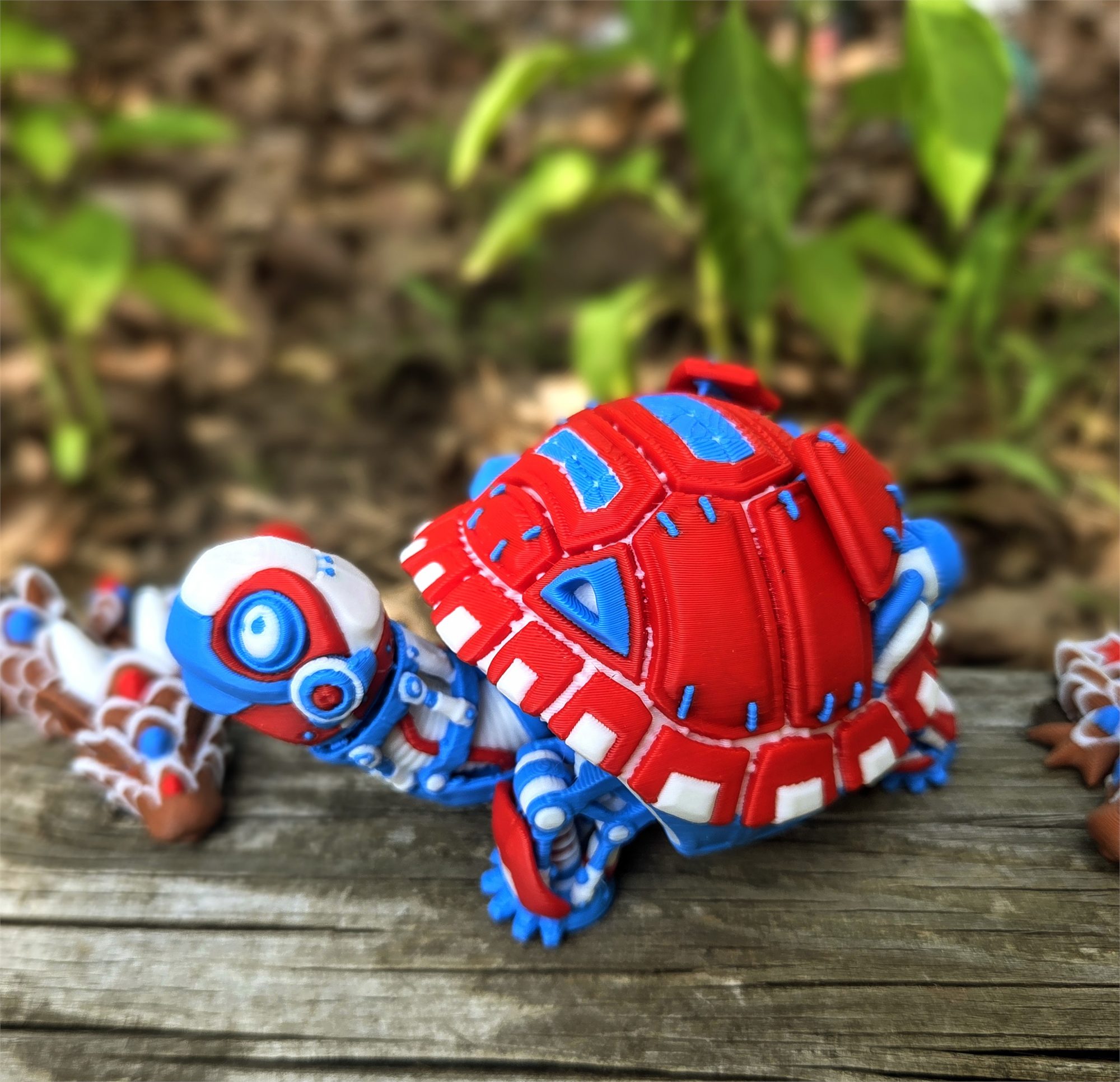 Tortoises