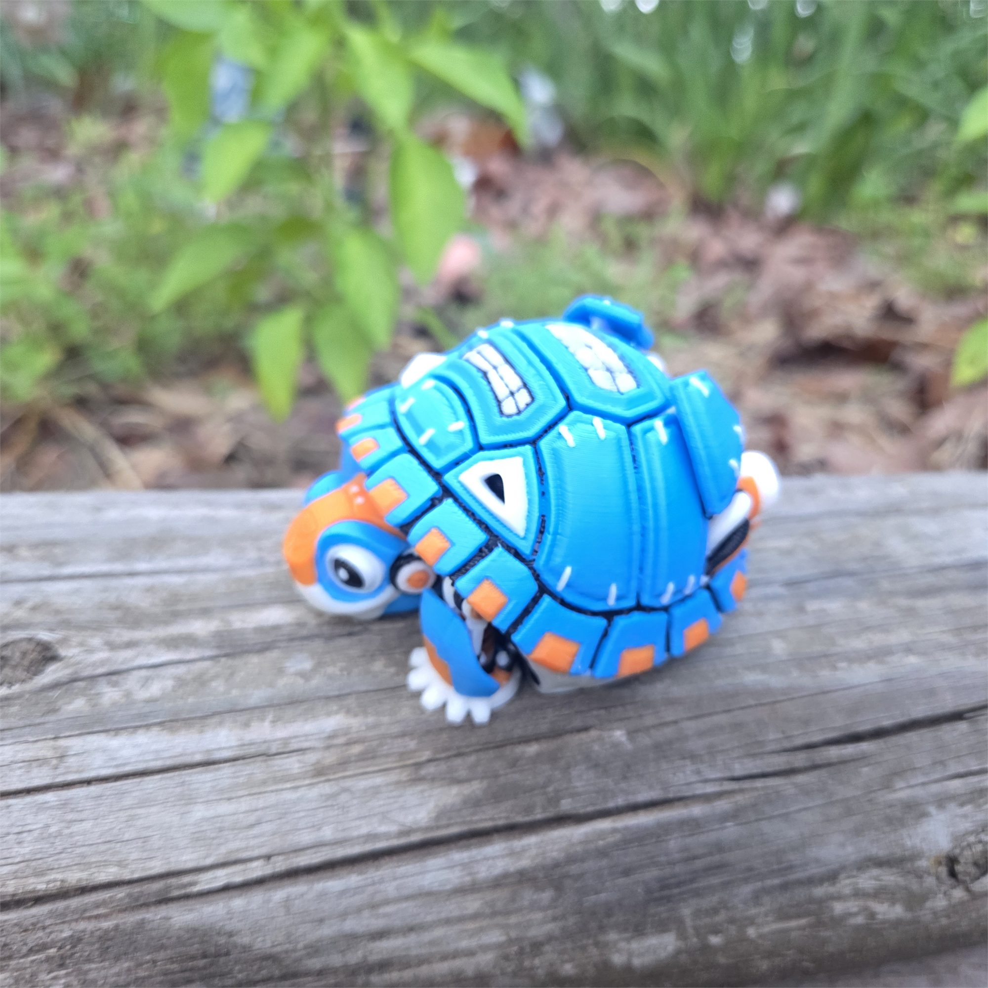 Tortoises