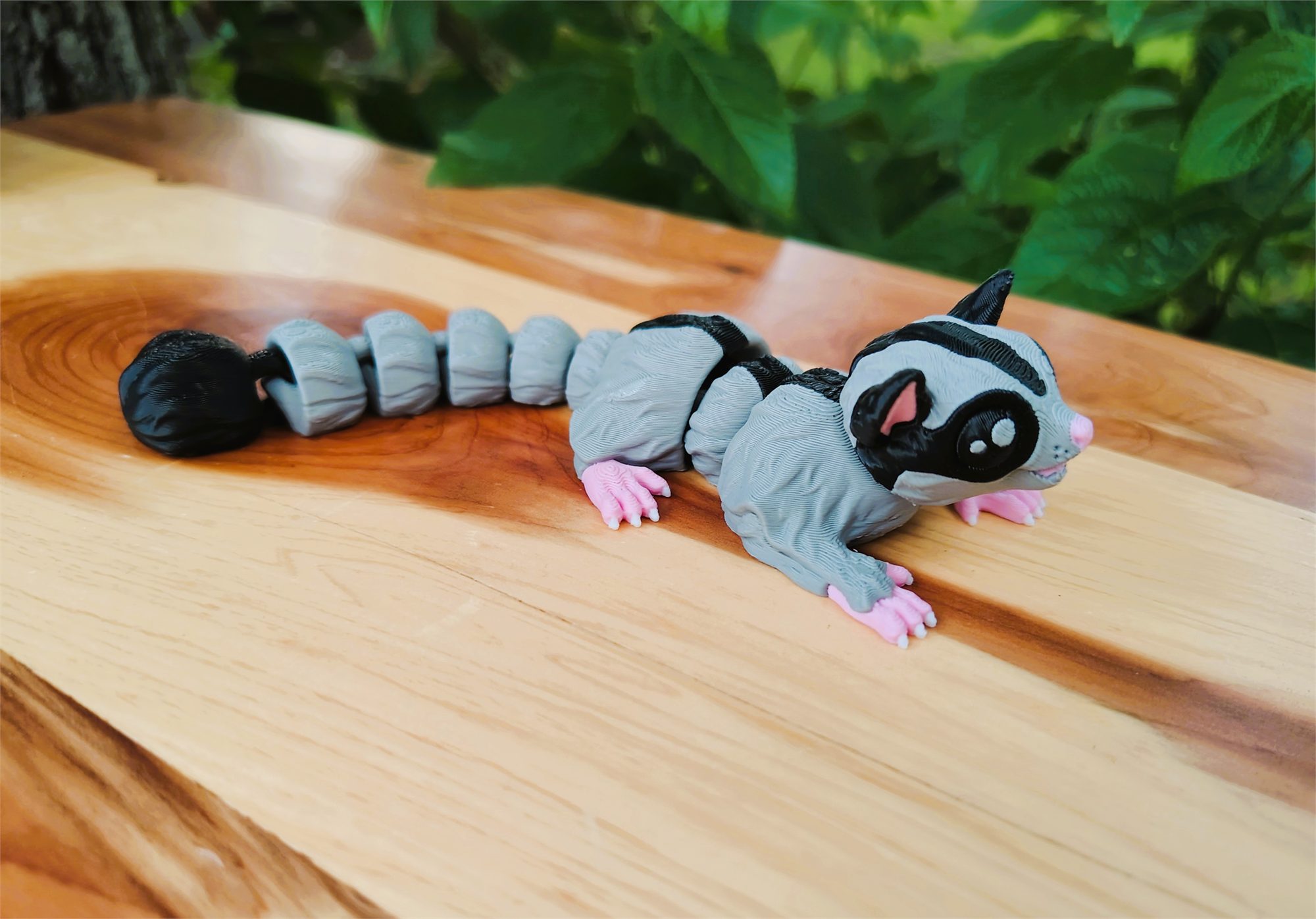 Sugar glider