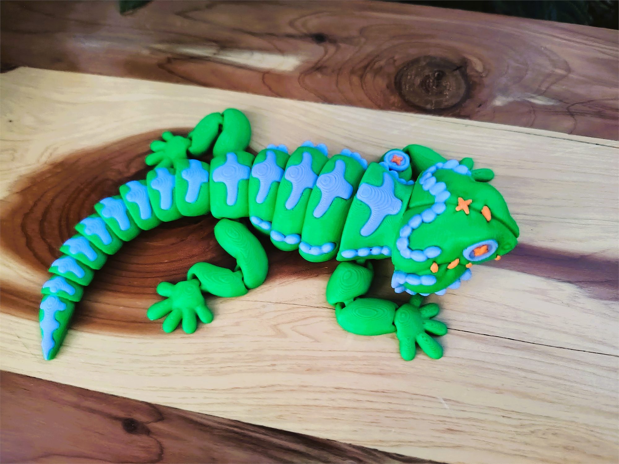Bearded Dragon