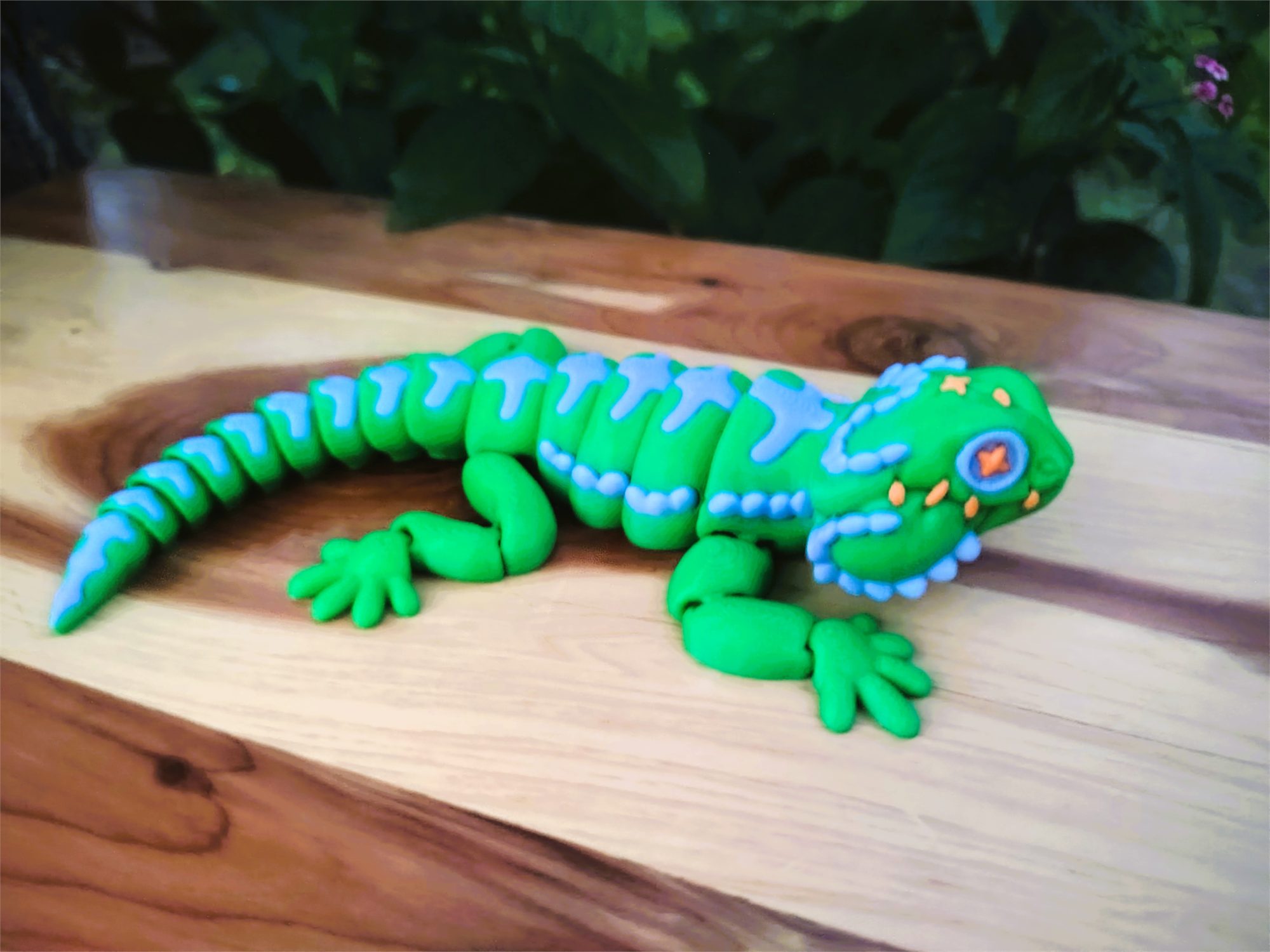 Bearded Dragon