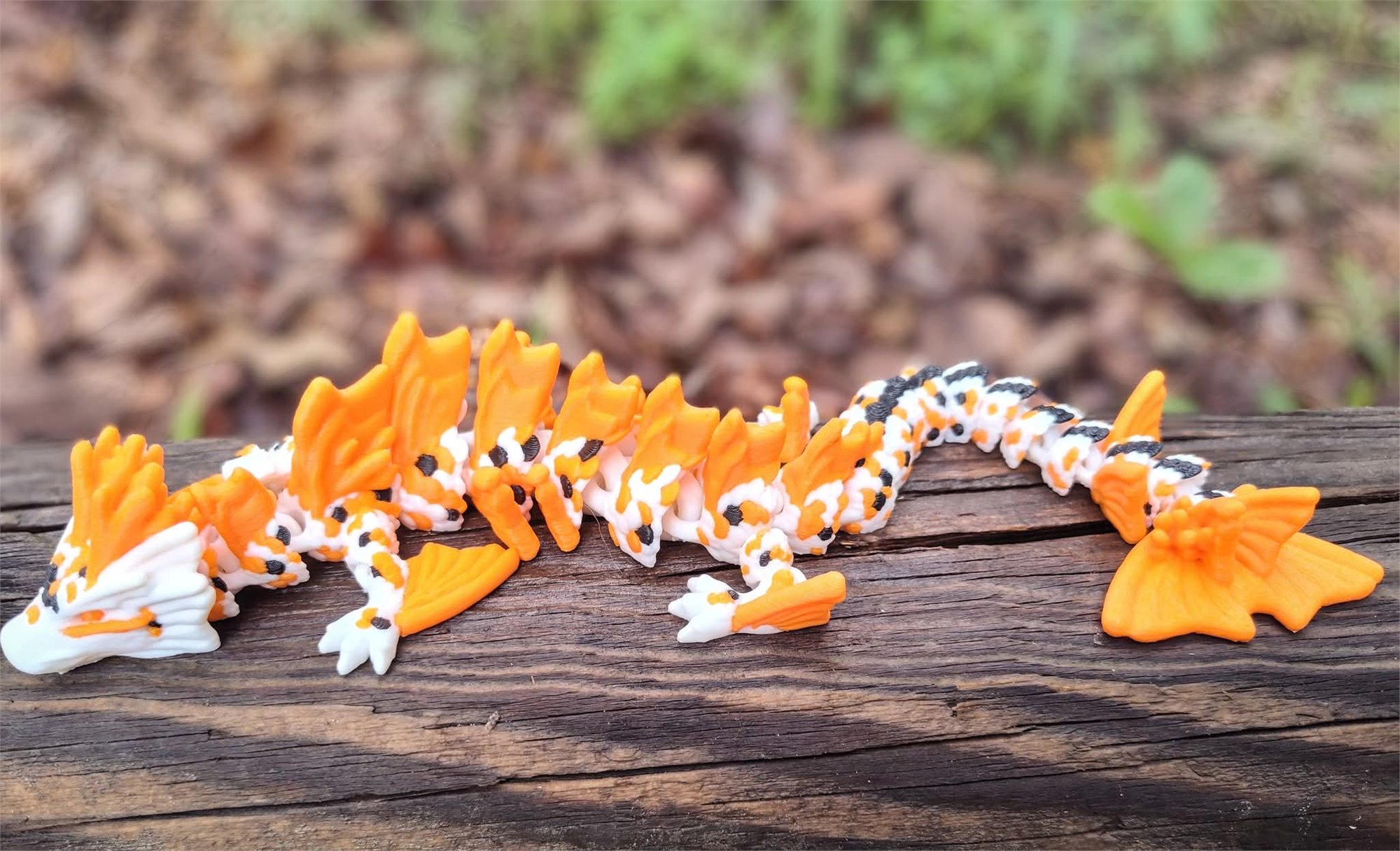 Koi Dragon