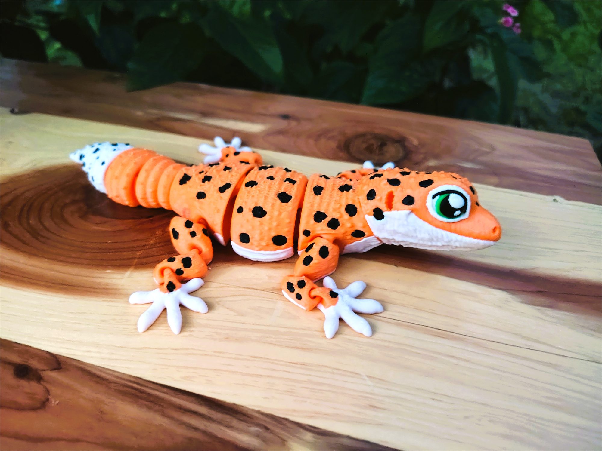 Spotted Leopard Gecko