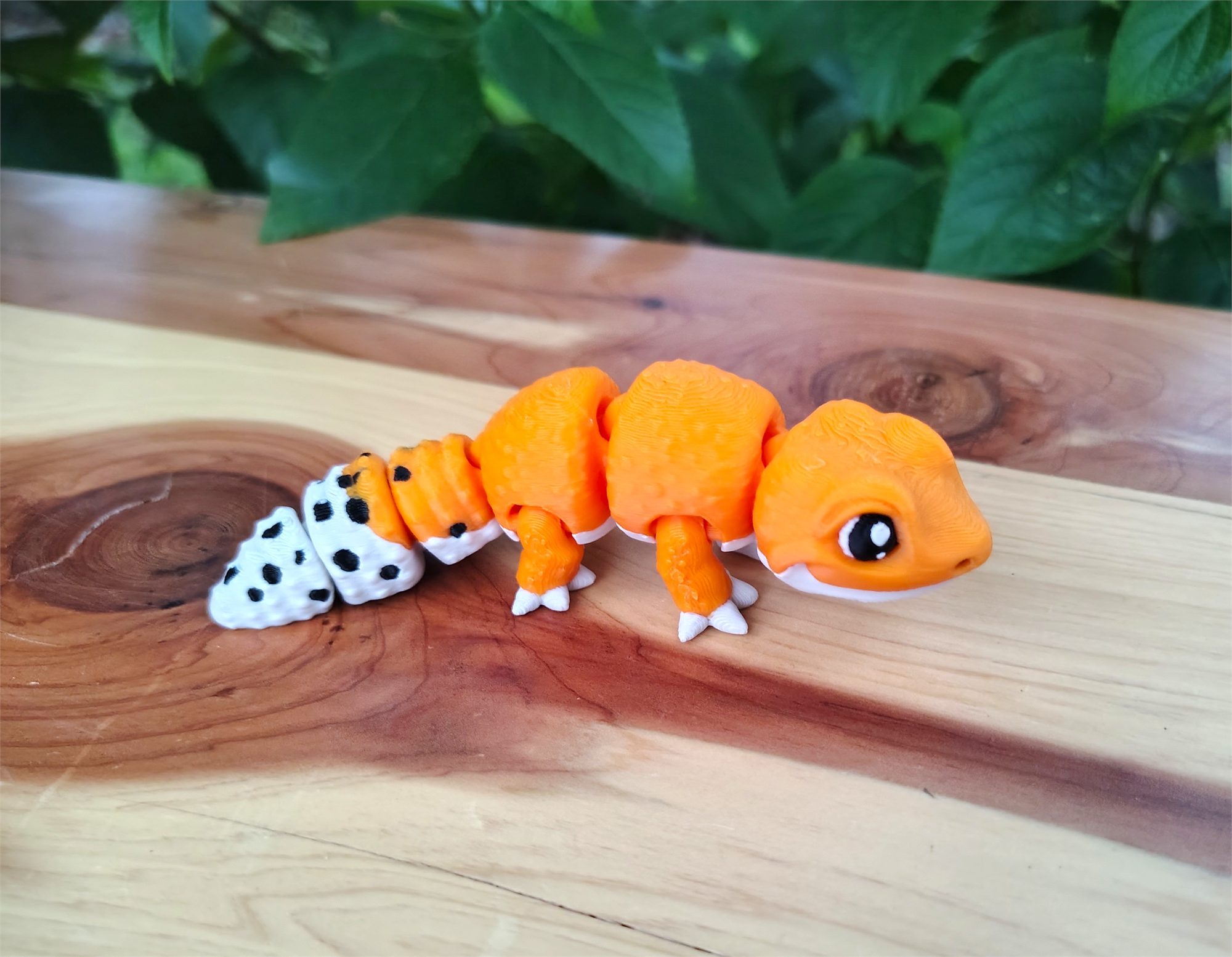 Spotted Leopard Gecko
