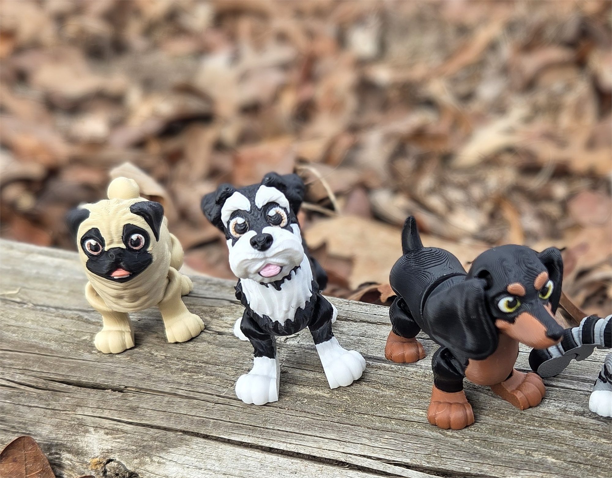 Dogs