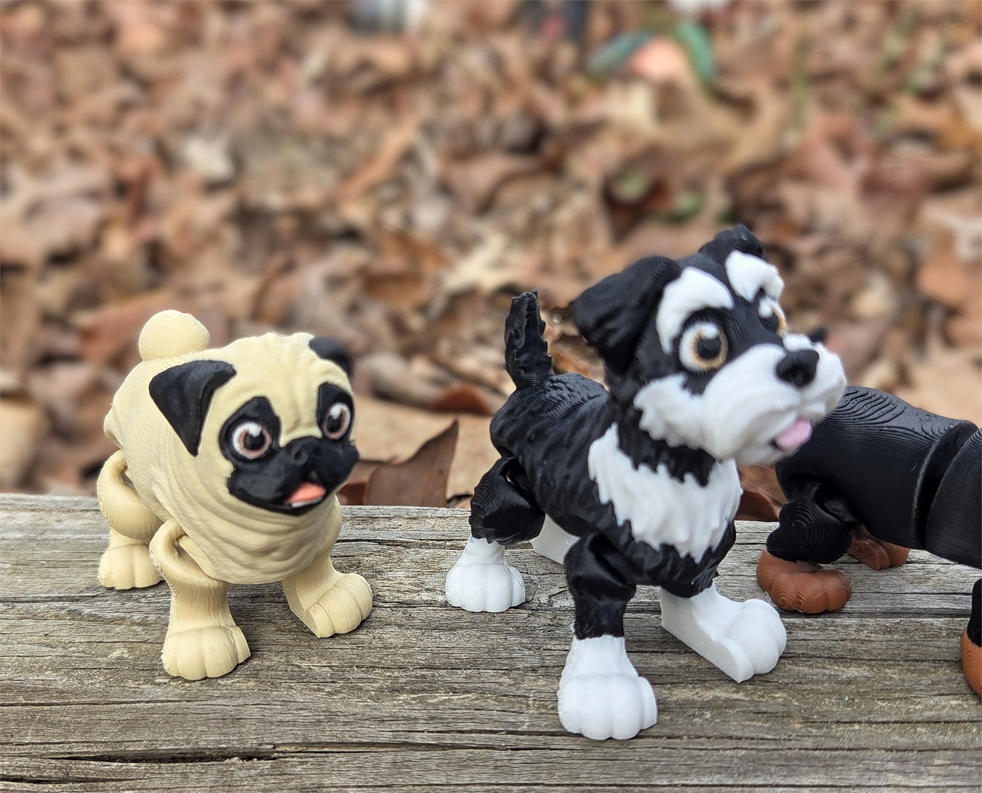 Dogs