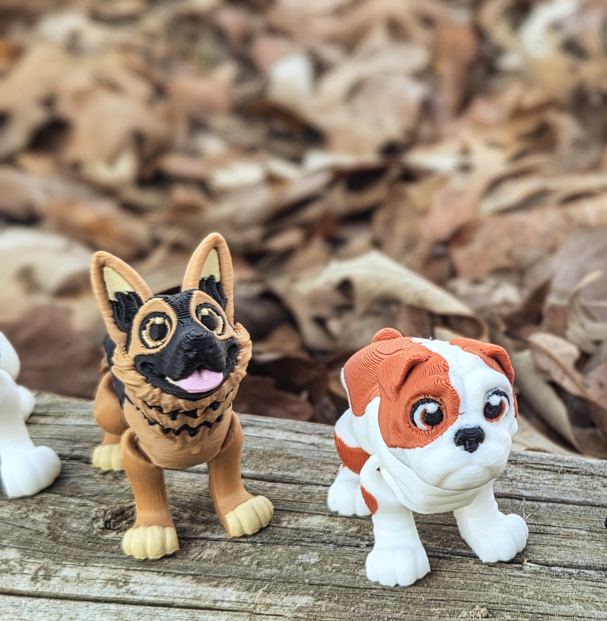 Dogs