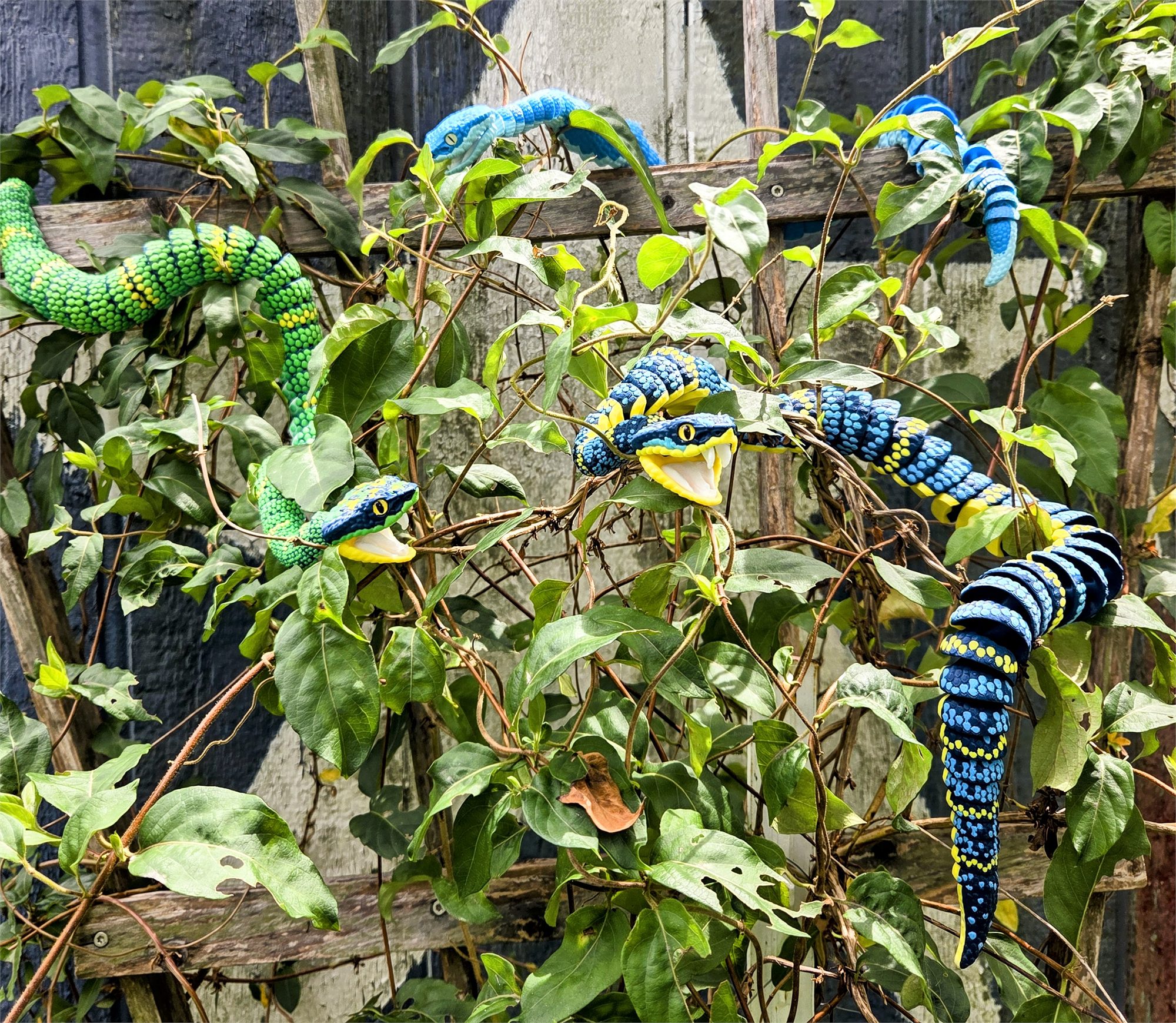 Pit Vipers