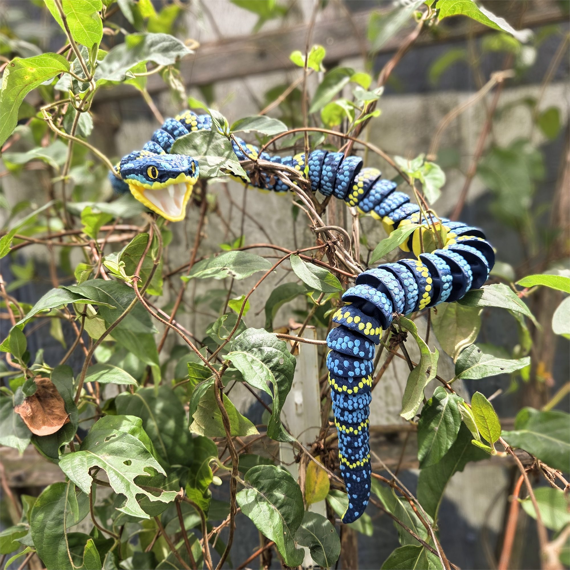 Pit Vipers