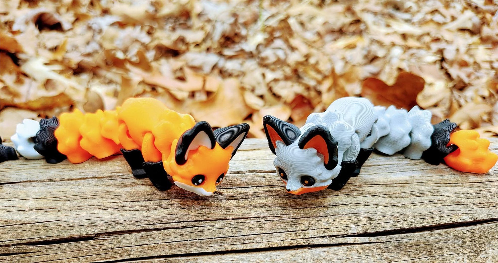 Foxes